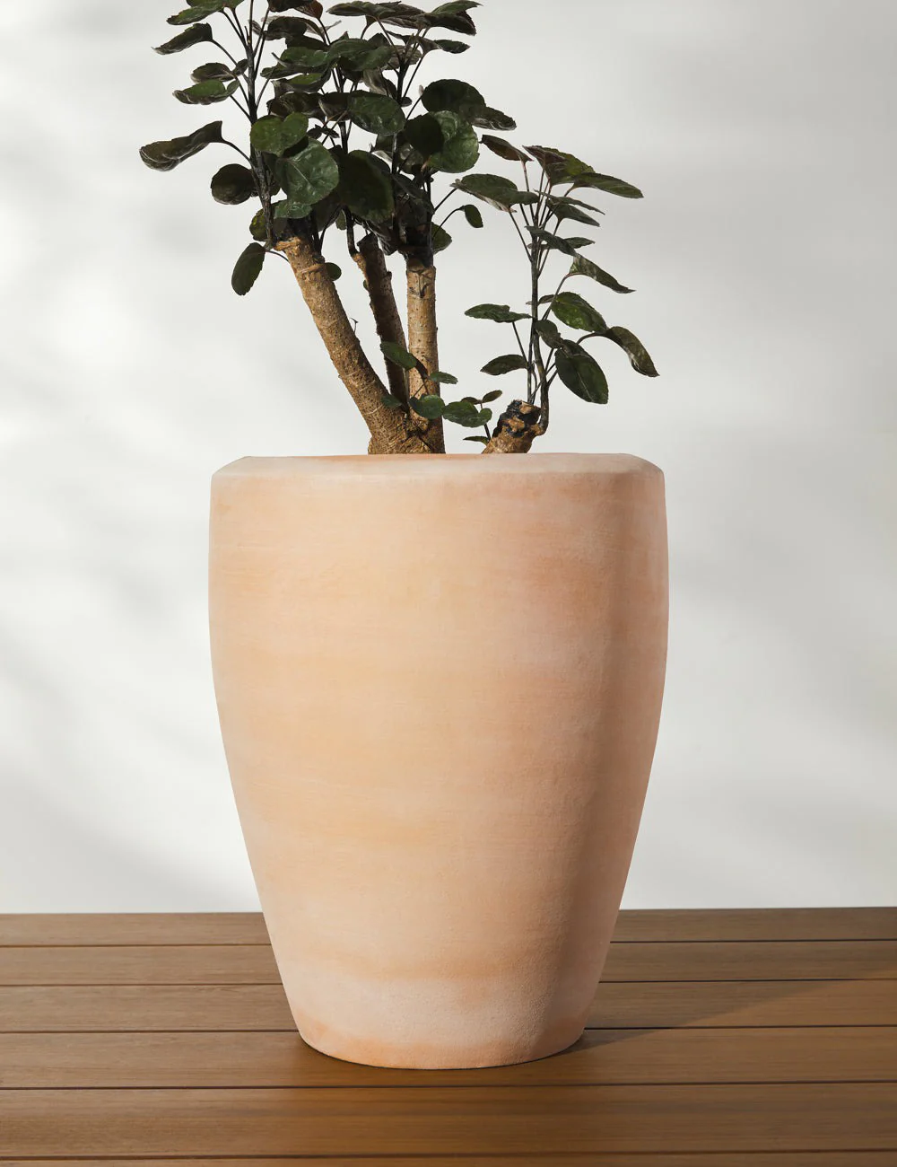 Abrielle Planter (Set of 2) by Campania International - Image 3