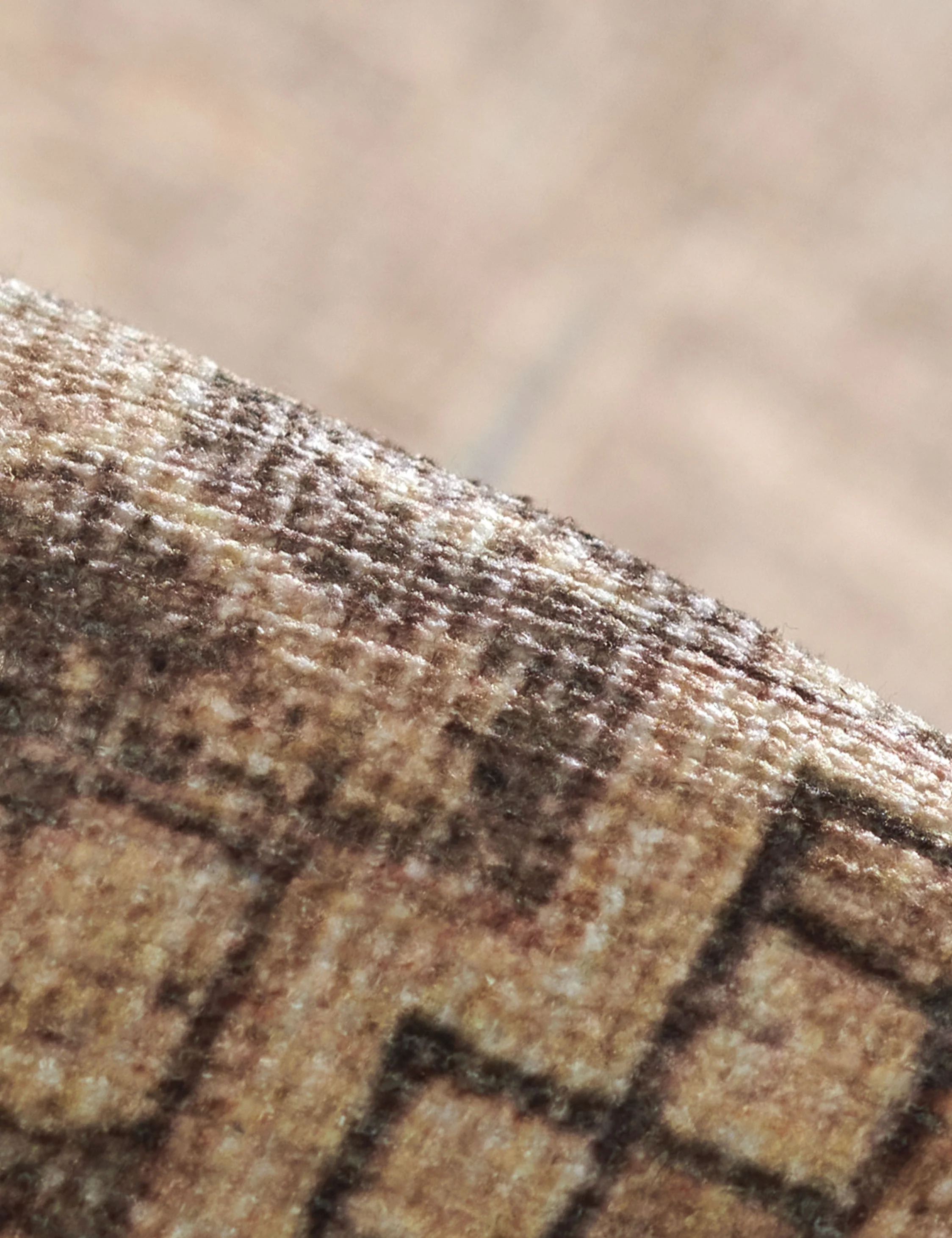 Akins Rug - Image 4