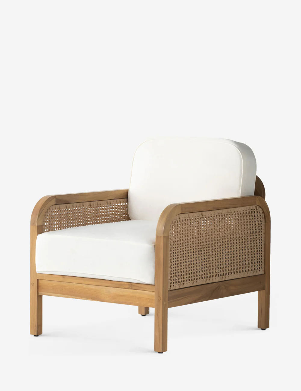 Anson Indoor / Outdoor Accent Chair - Image 2