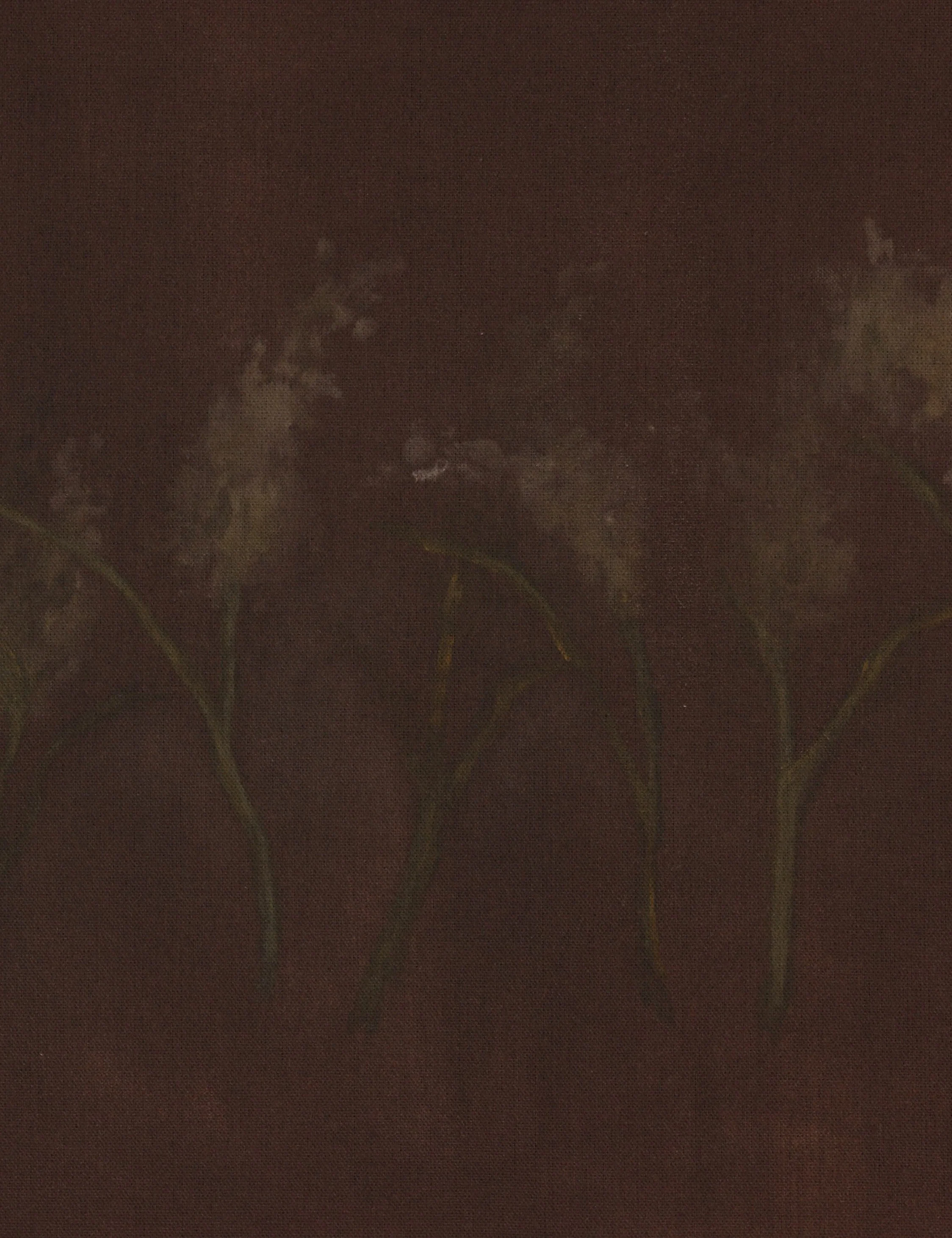 Bloom III Wall Art by Brittney Schulz - Image 6