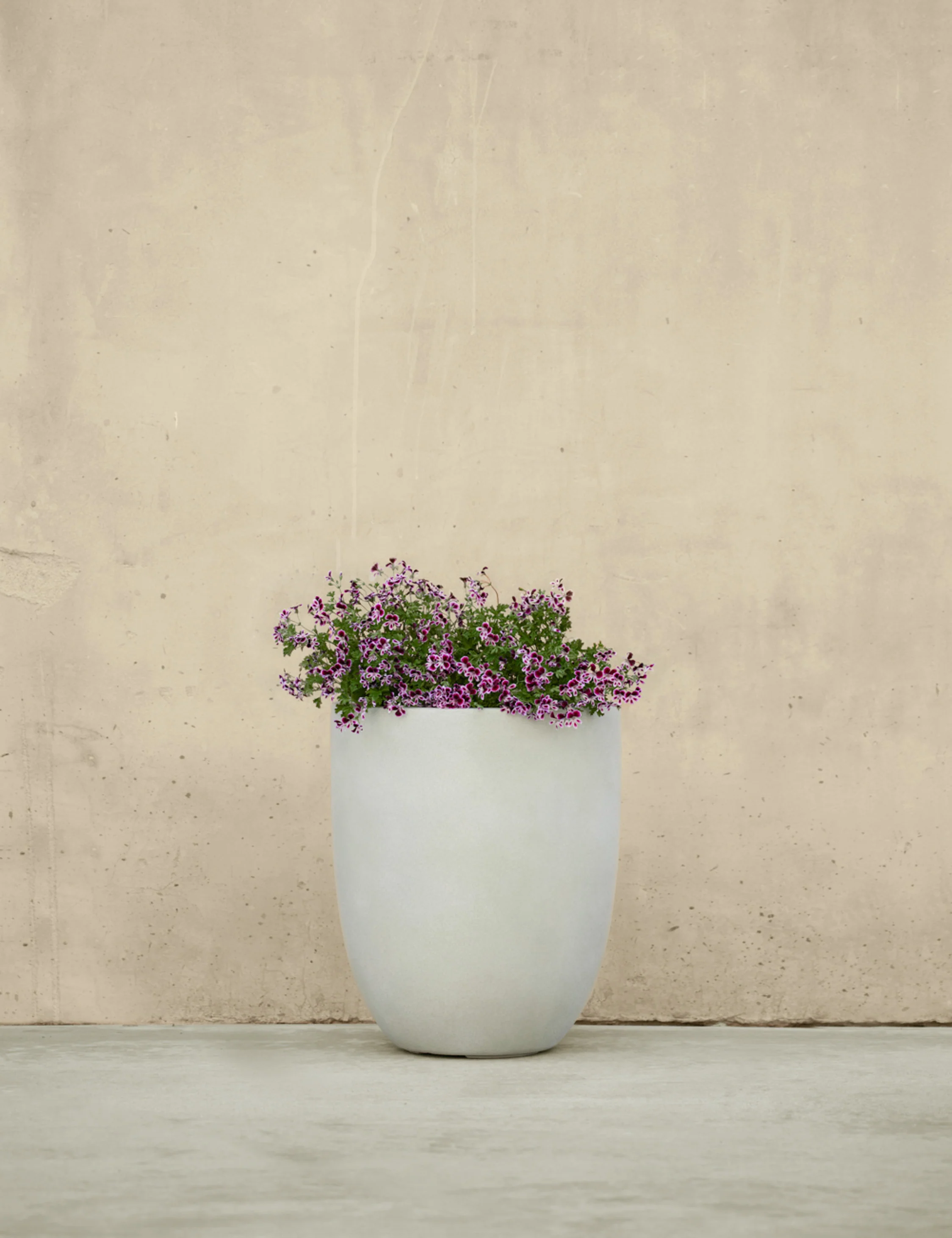 Bradford Planters by Campania International - Image 10