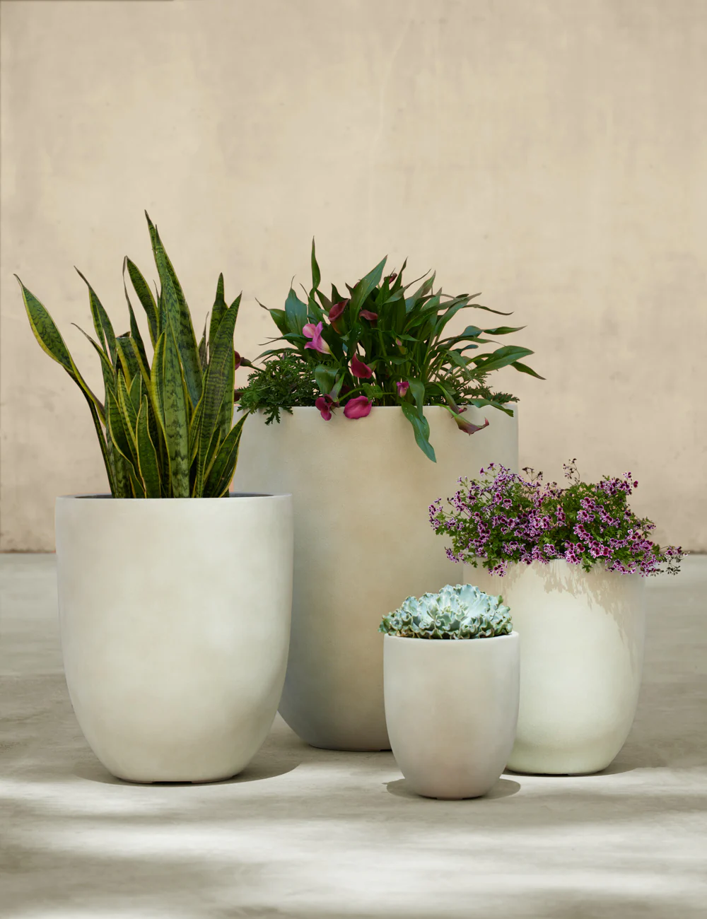 Bradford Planters by Campania International - Image 12