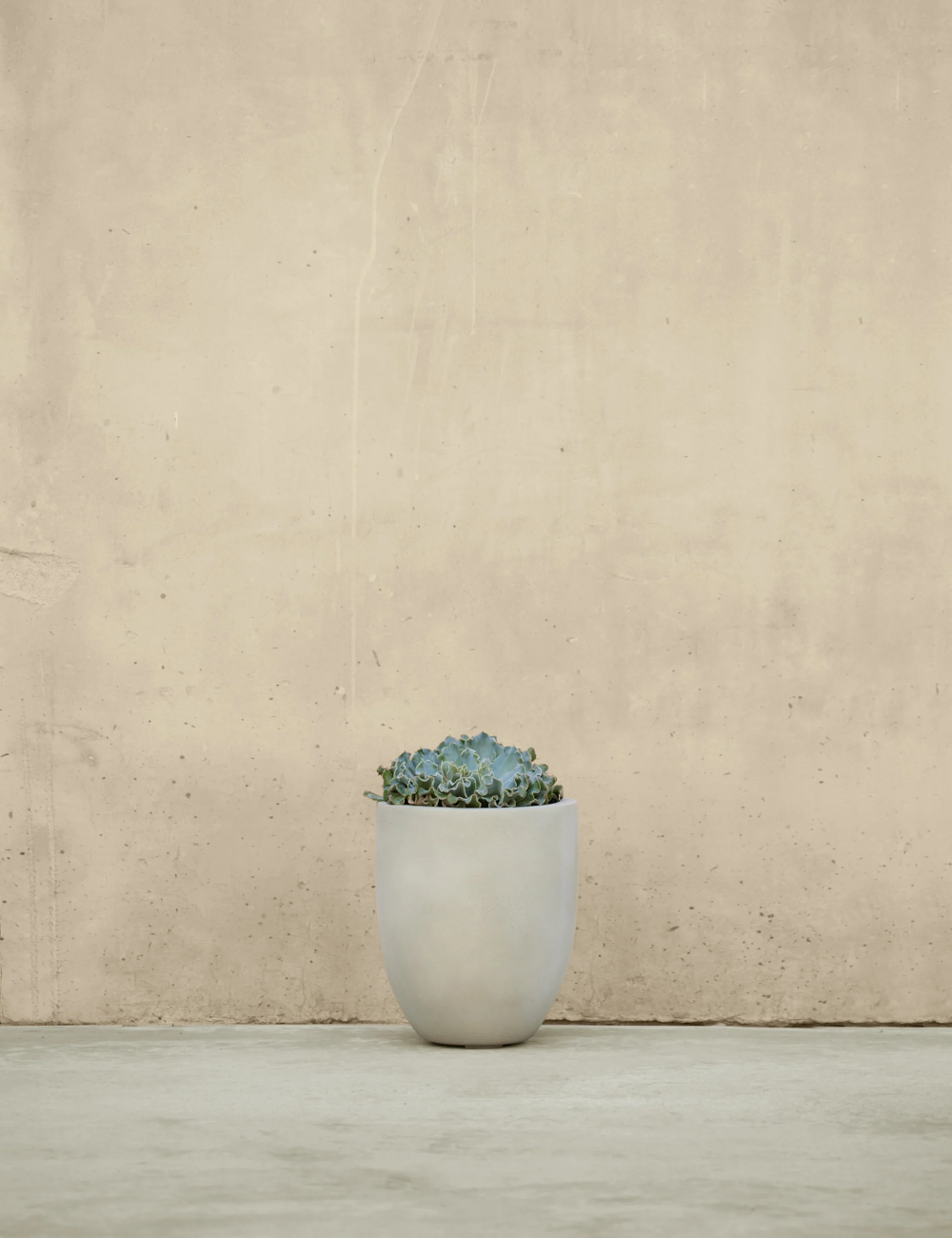 Bradford Planters by Campania International - Image 13