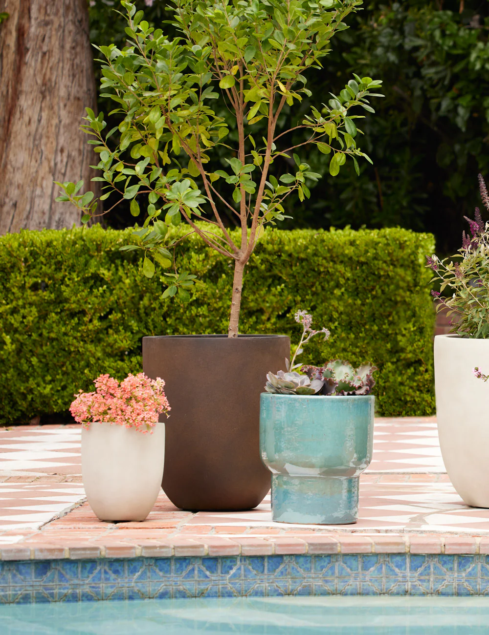 Bradford Planters by Campania International - Image 15
