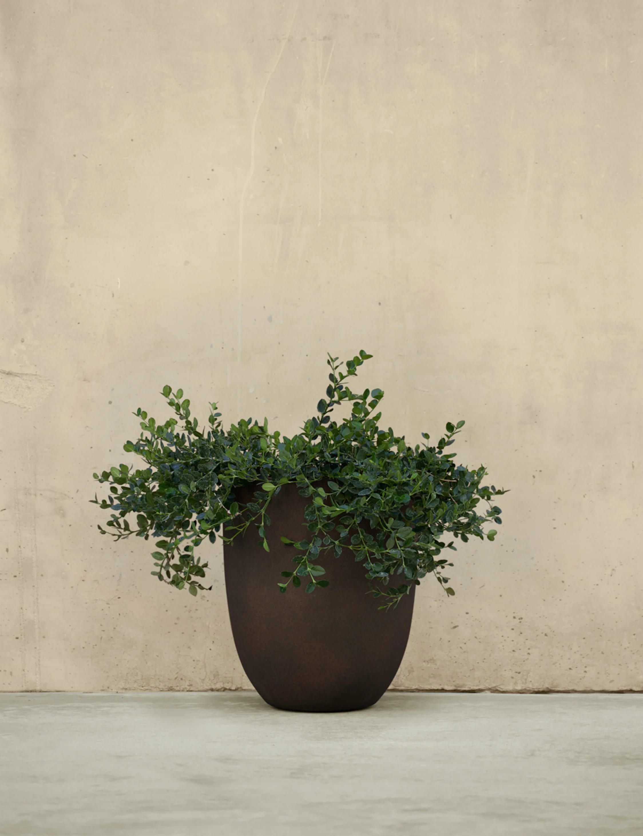 Bradford Planters by Campania International - Image 25