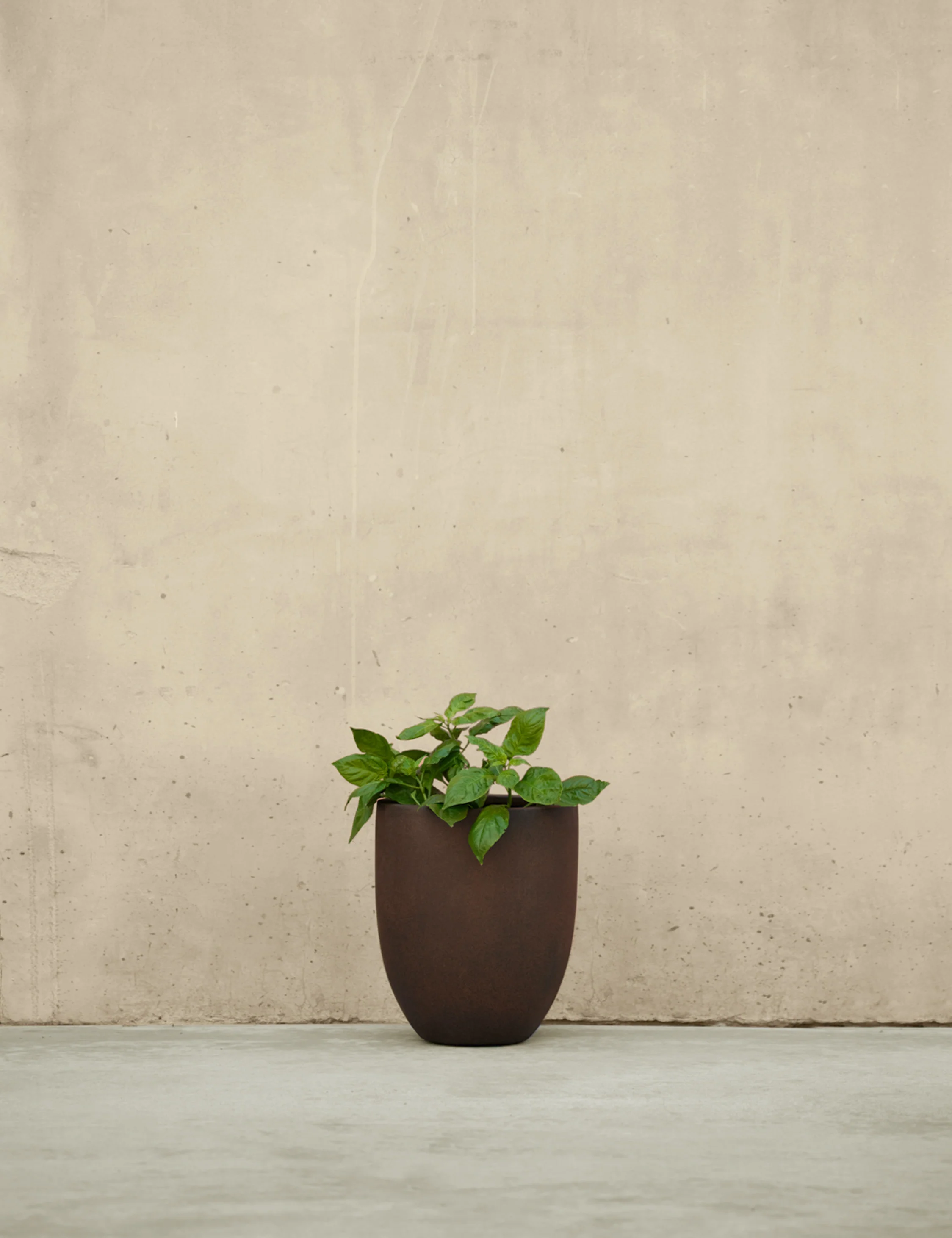Bradford Planters by Campania International - Image 28
