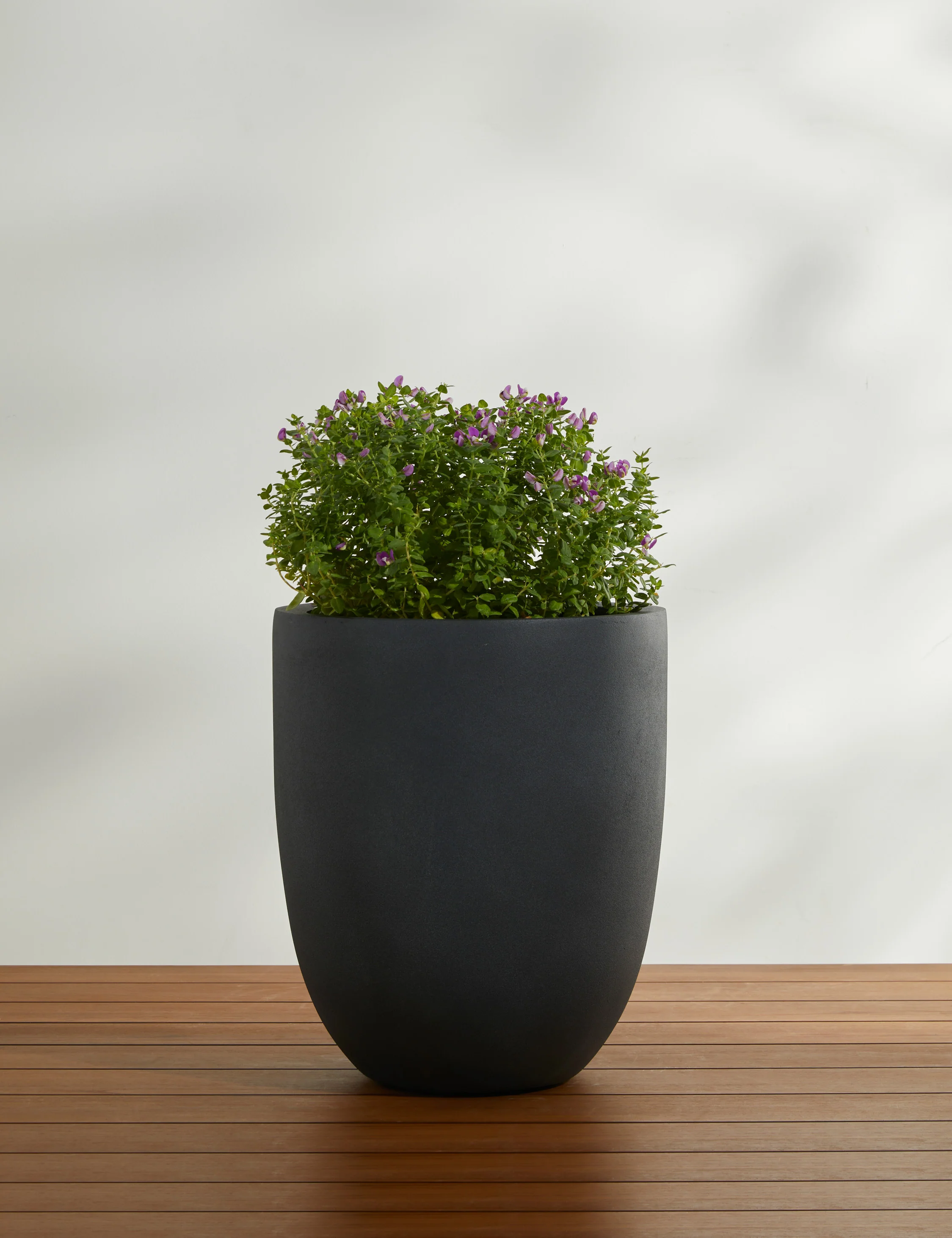 Bradford Planters by Campania International - Image 35