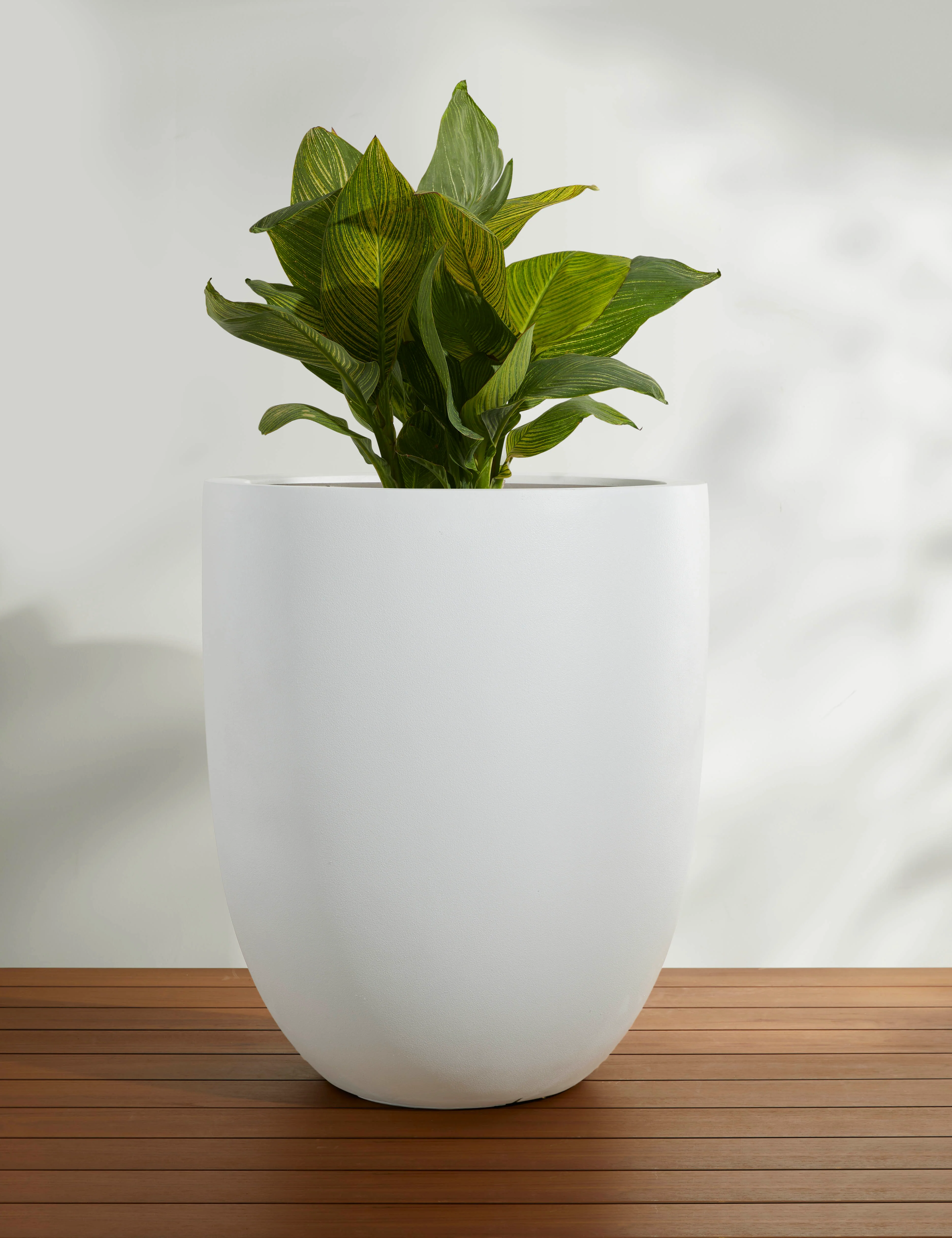 Bradford Planters by Campania International - Image 40