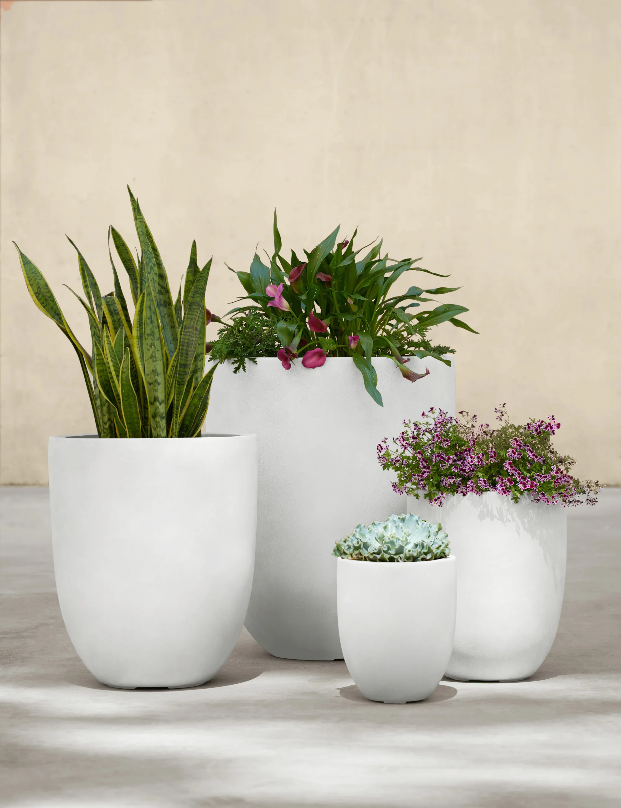 Bradford Planters by Campania International - Image 46