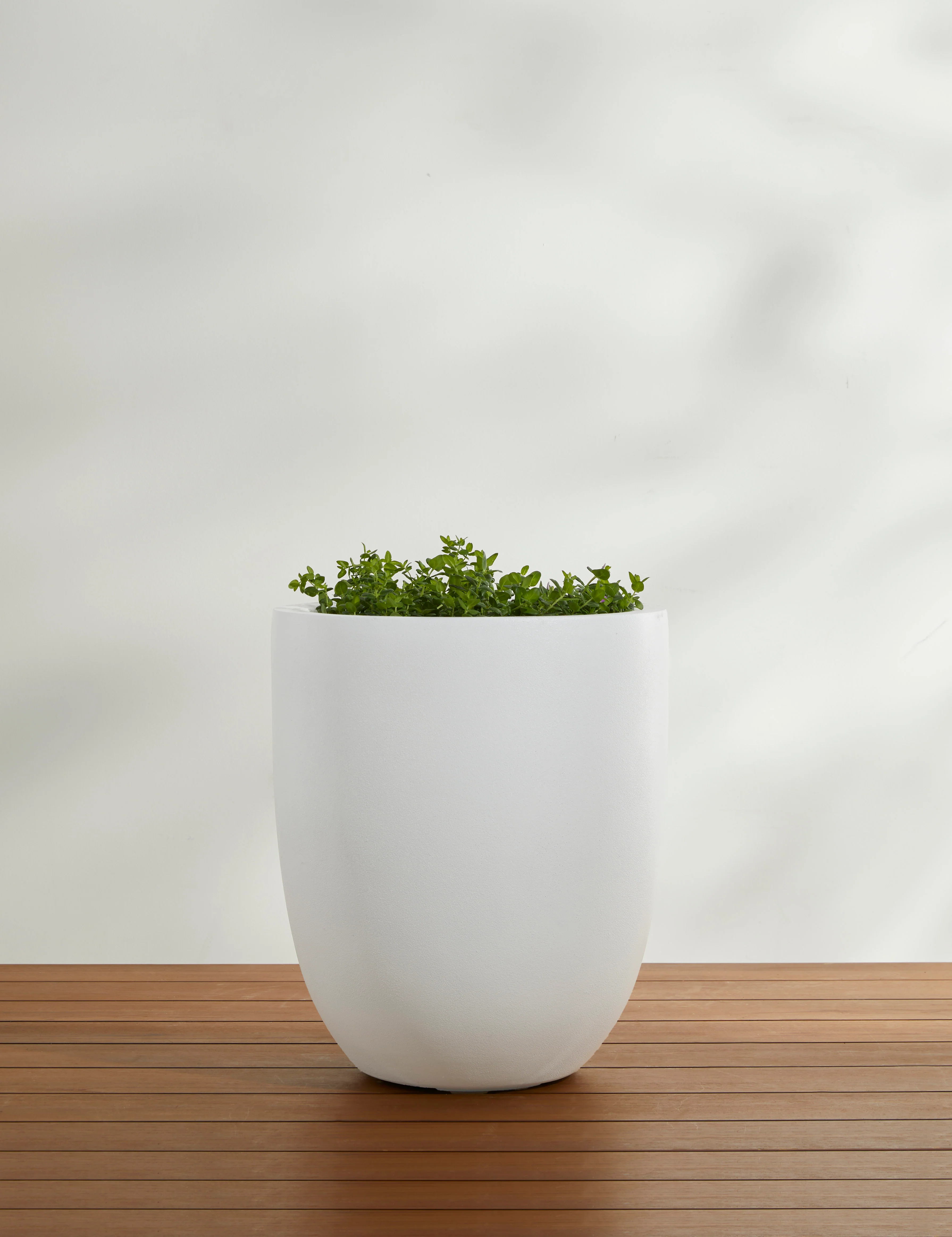 Bradford Planters by Campania International - Image 47