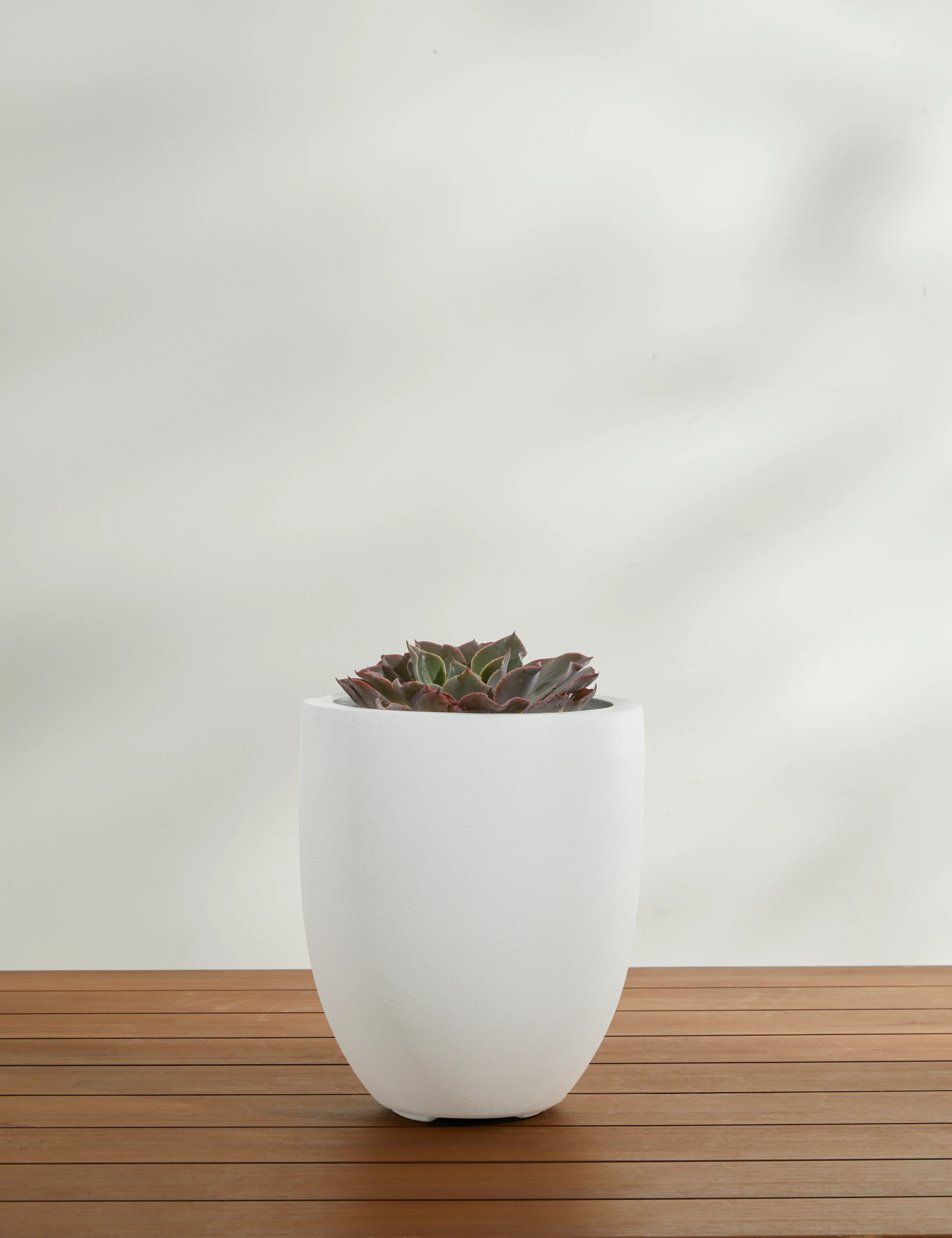 Bradford Planters by Campania International - Image 50
