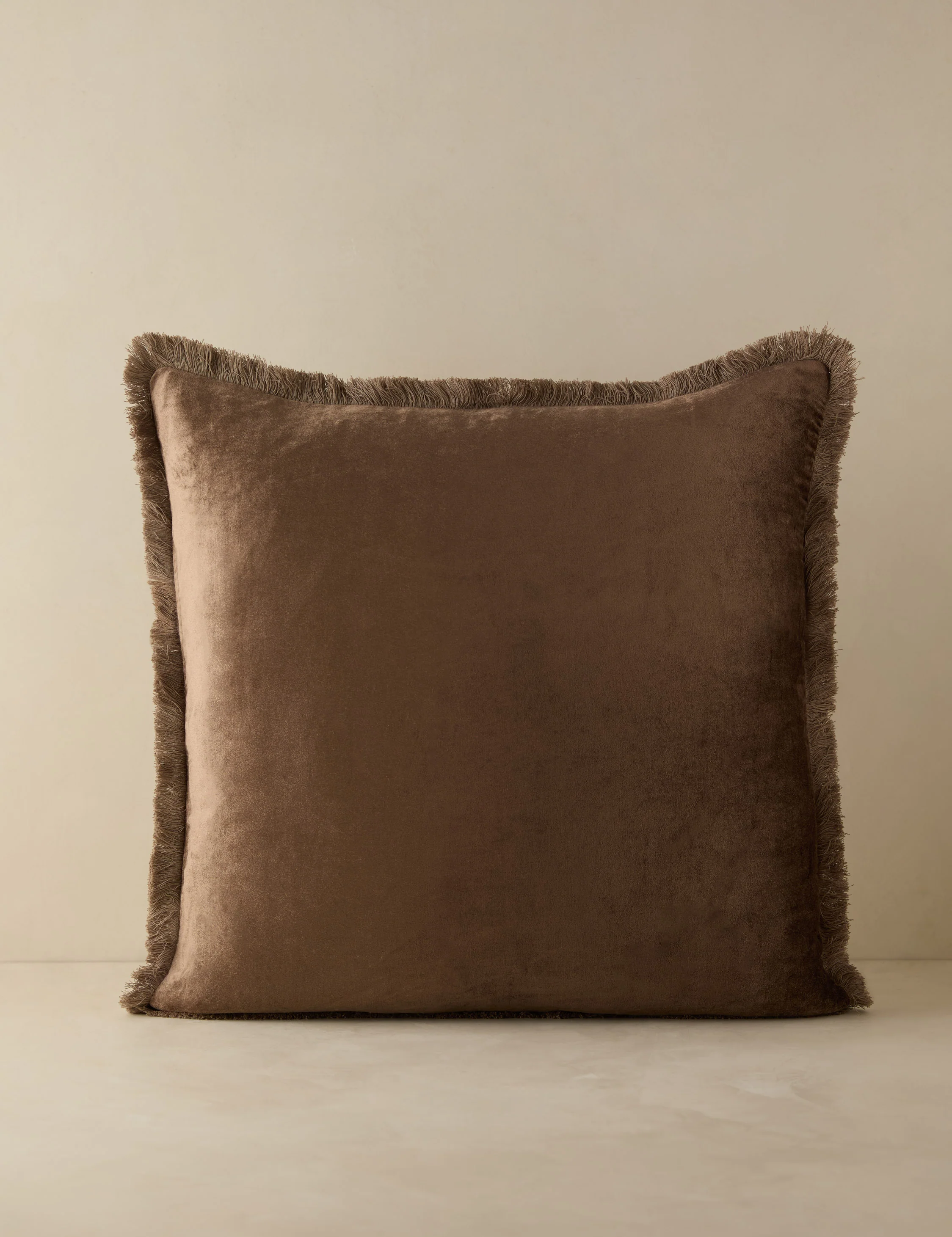 Brandis Velvet Pillow - Image 11