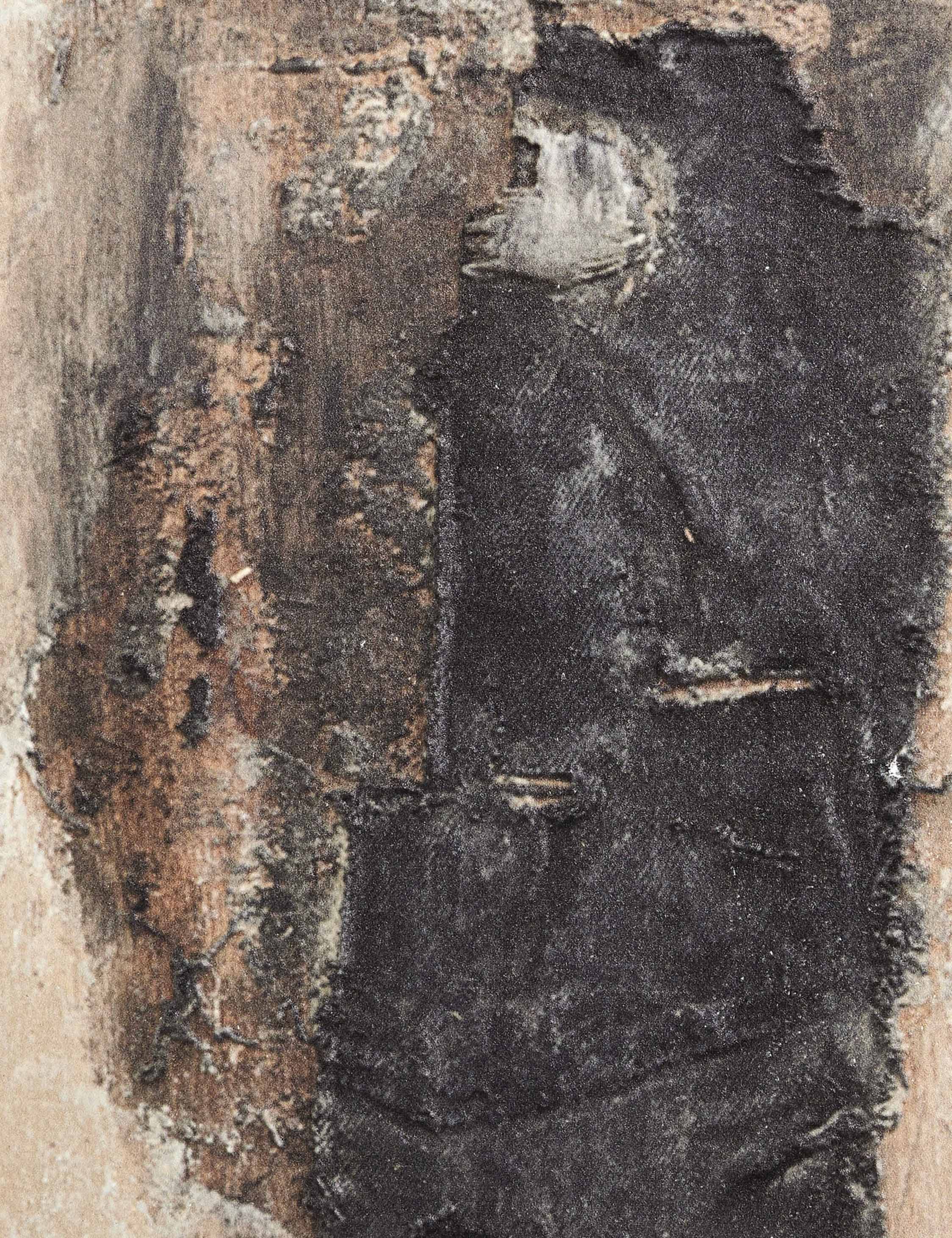 Burro Dia Wall Art by Paul Meyer - Image 13