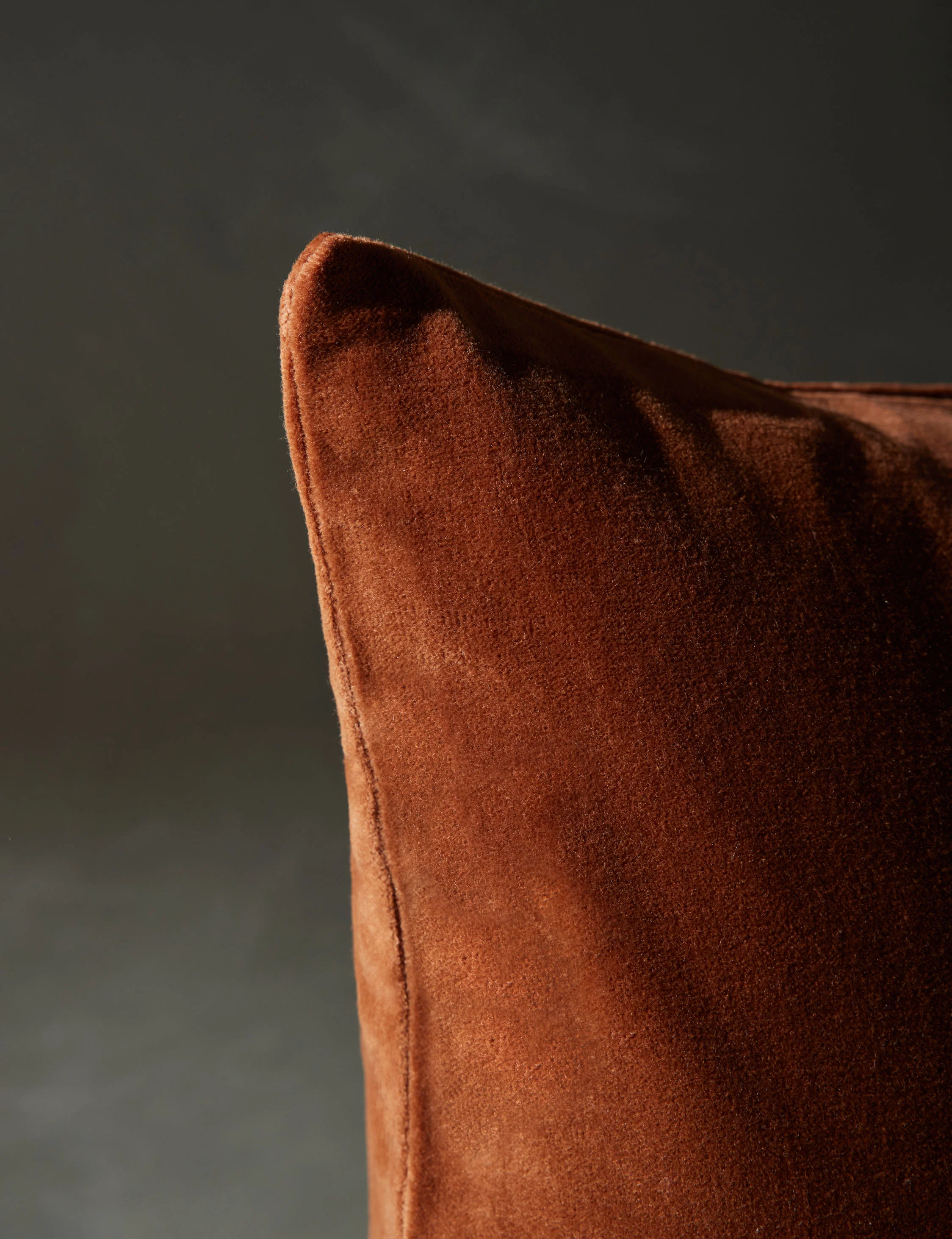 Caddie Velvet Pillow - Image 11