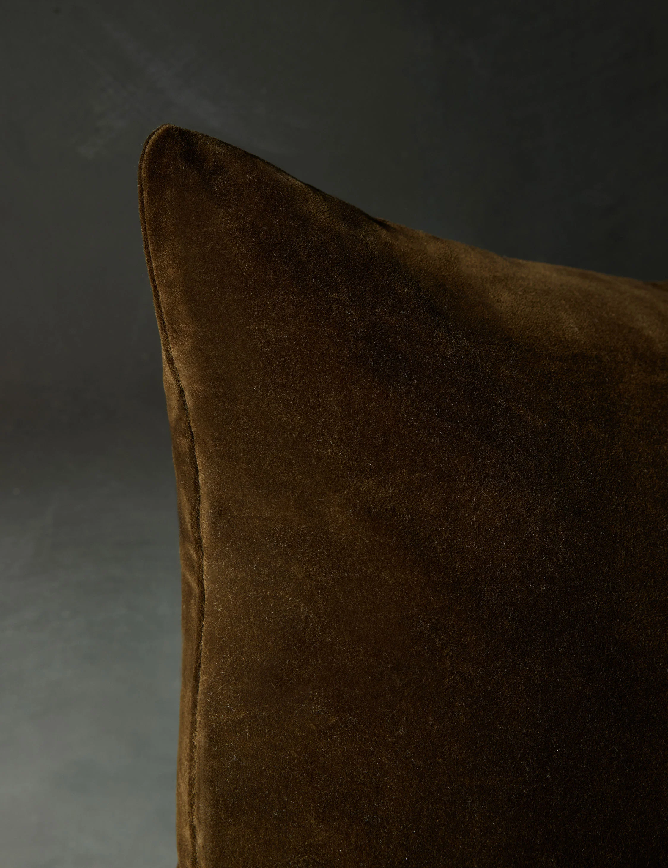 Caddie Velvet Pillow - Image 2