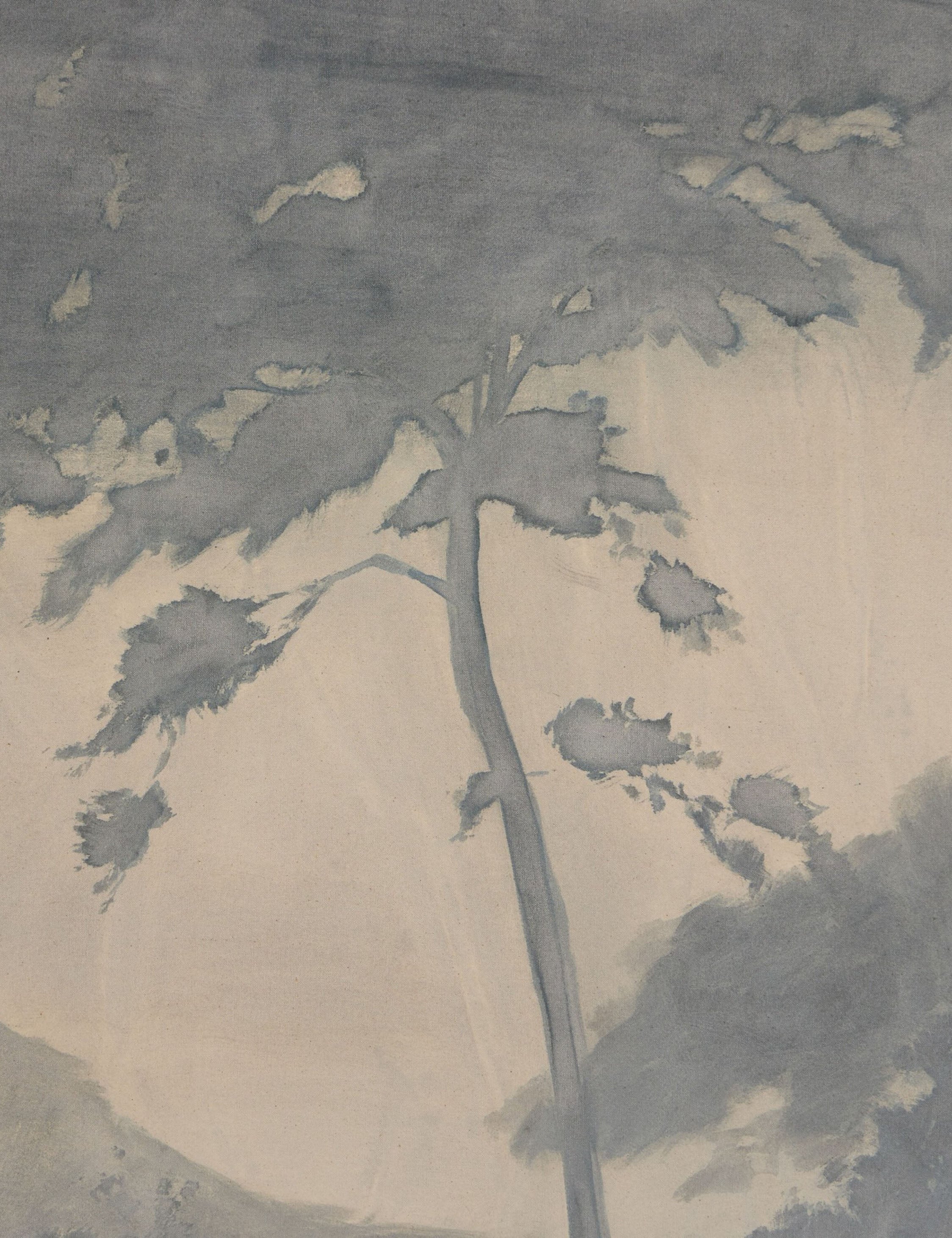 Canopy by Chelsea Fly - Image 5