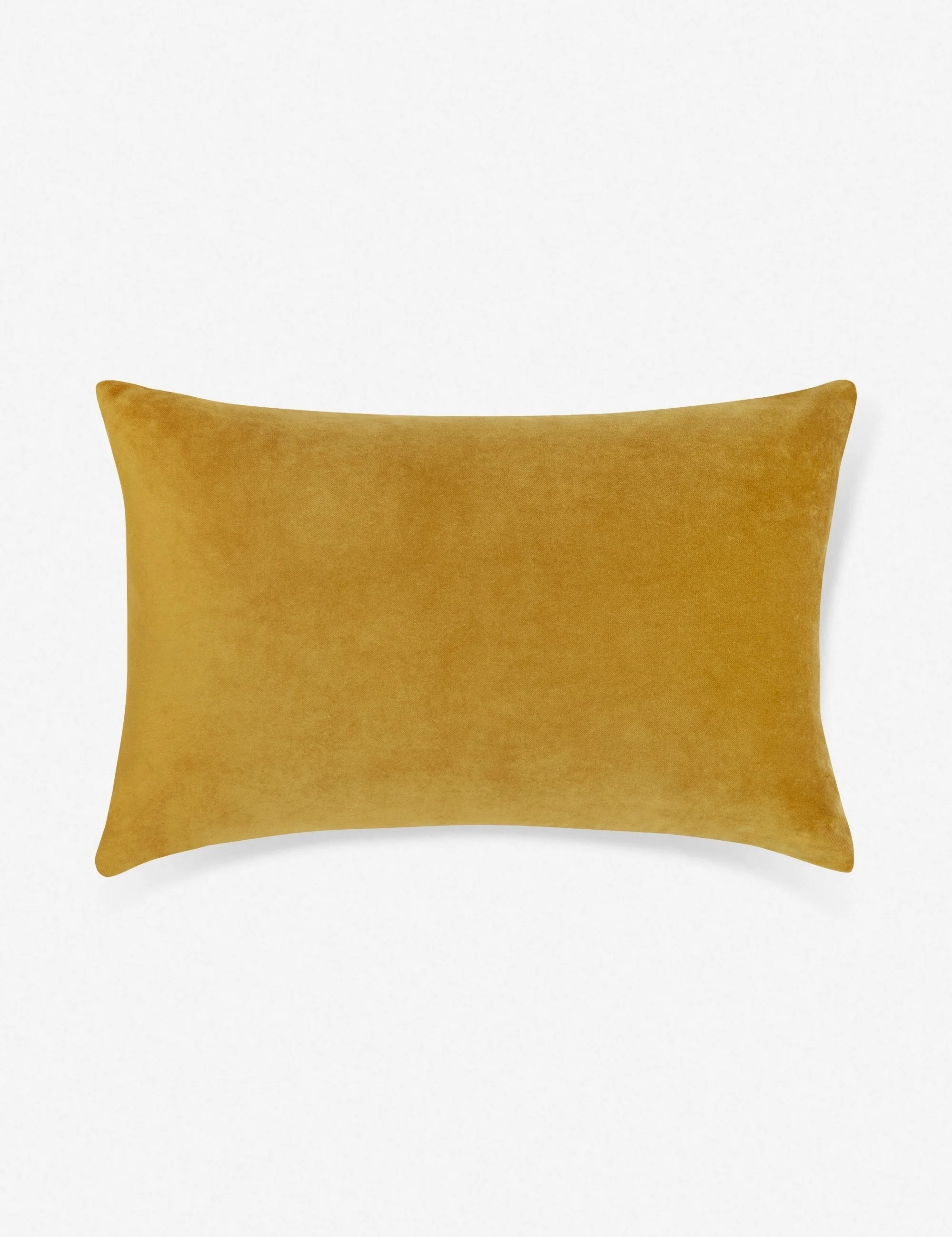 Charlotte Velvet Lumbar Pillow - Image 18