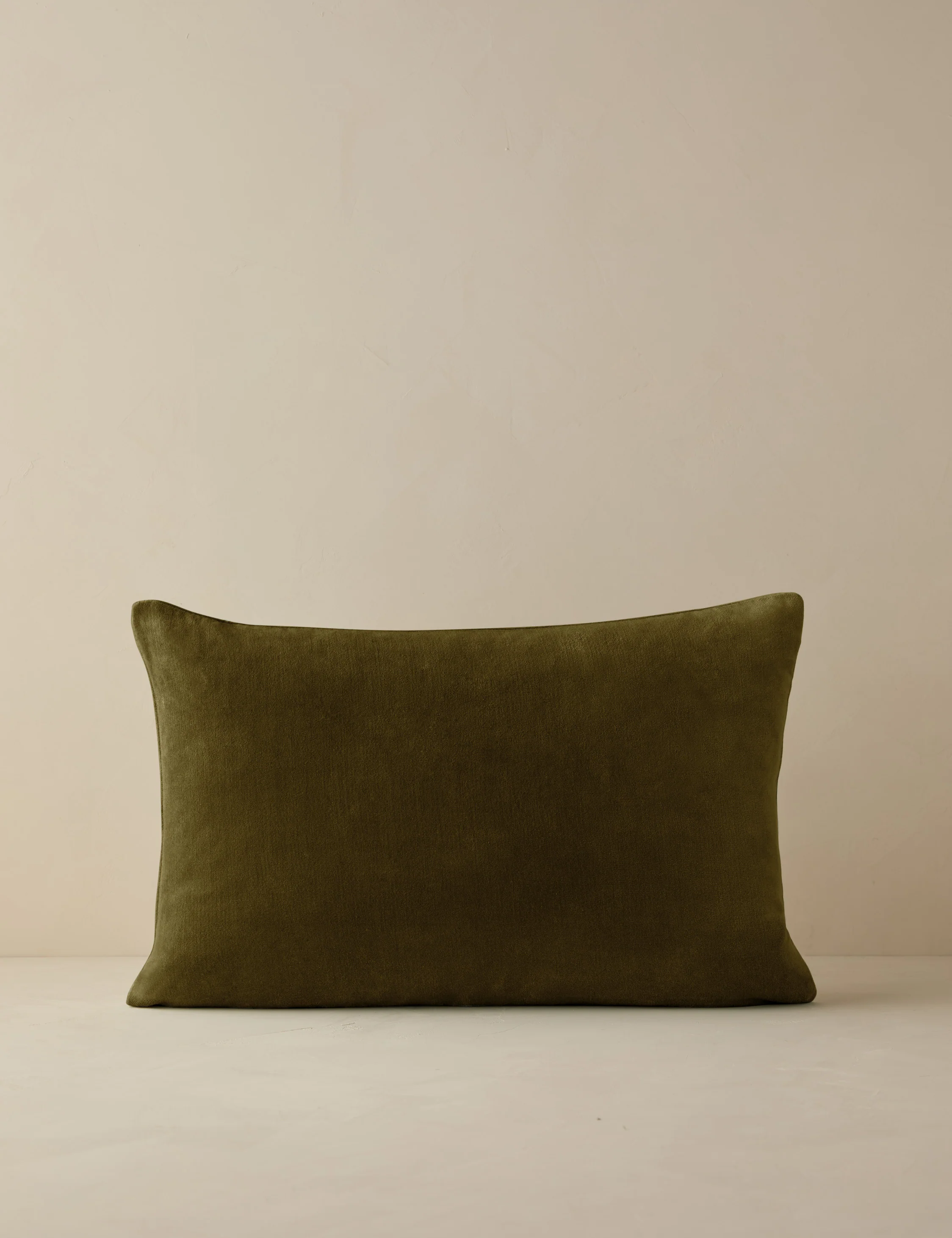 Charlotte Velvet Pillow - Image 54