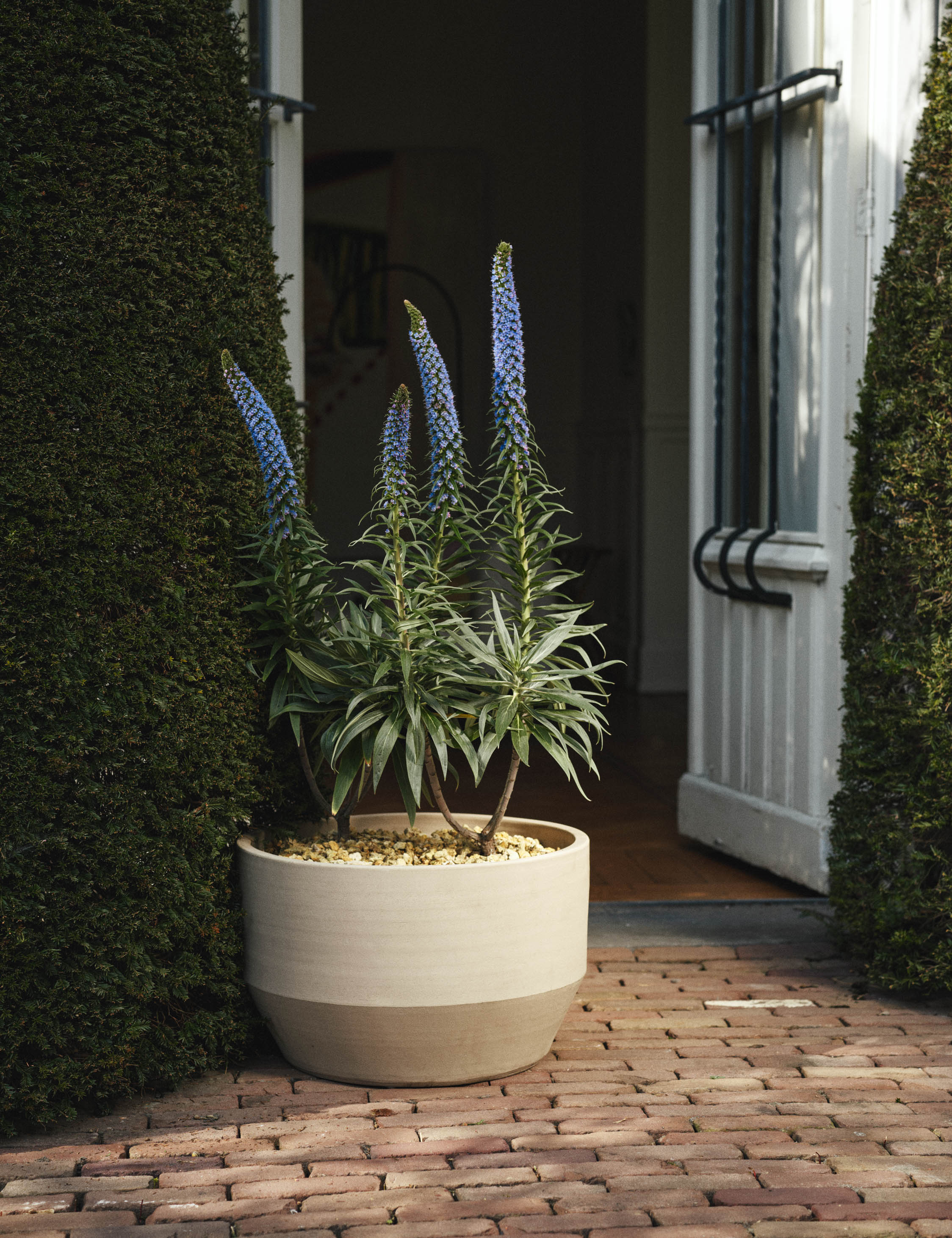 Construct Drum Planter by Marie Michielssen x Serax