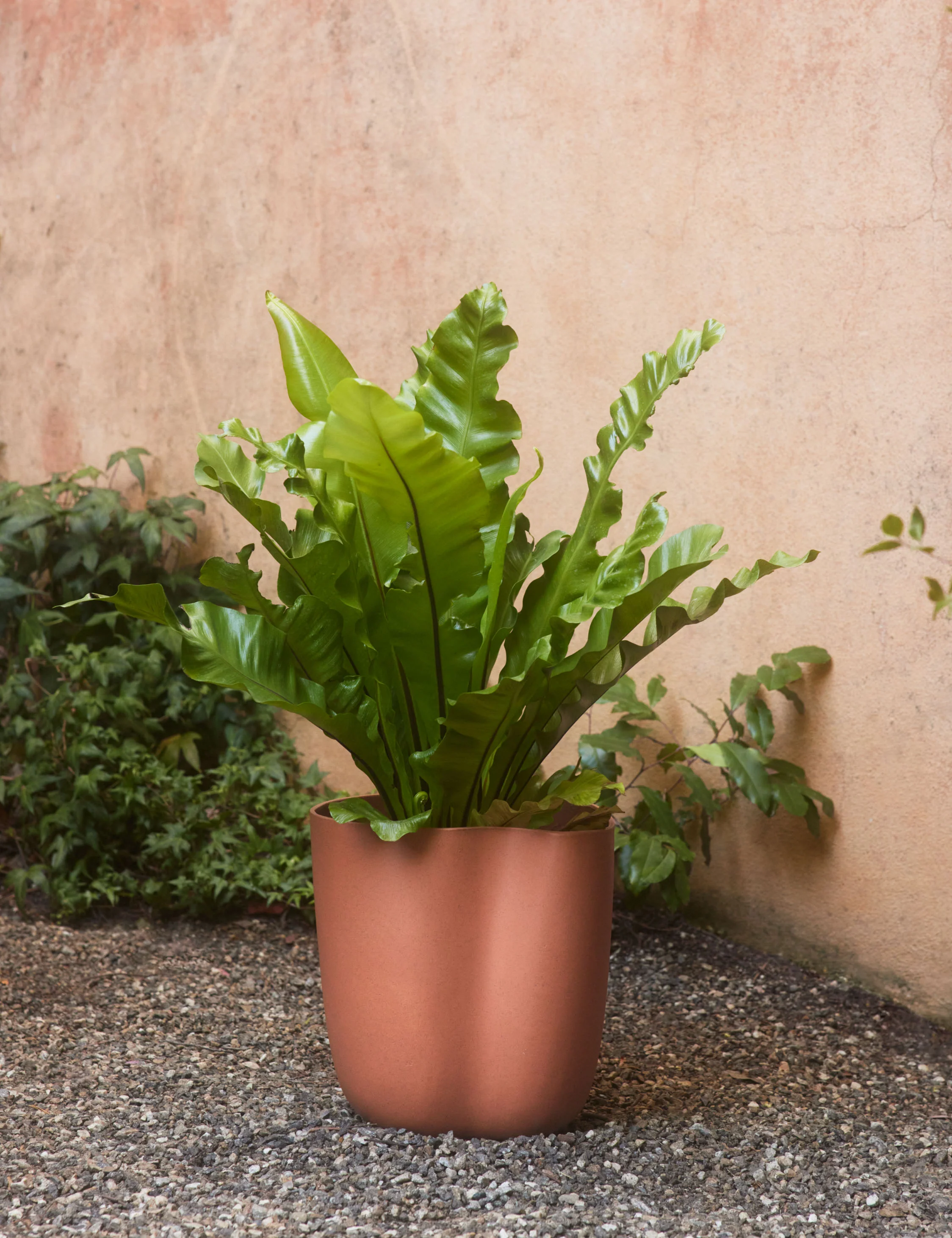 Dempsy Planter by Sarah Sherman Samuel - Image 5