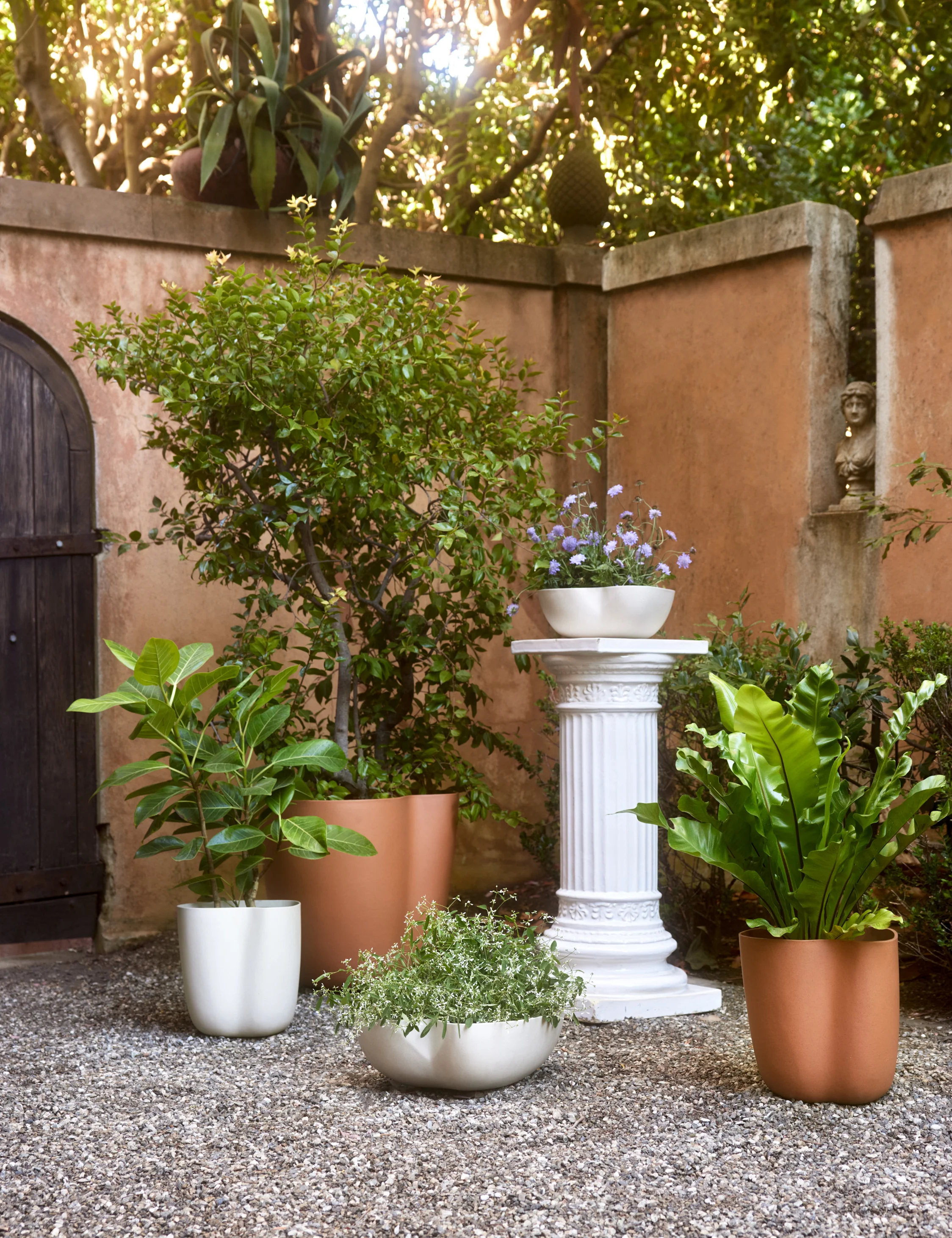 Dempsy Planter by Sarah Sherman Samuel - Image 6