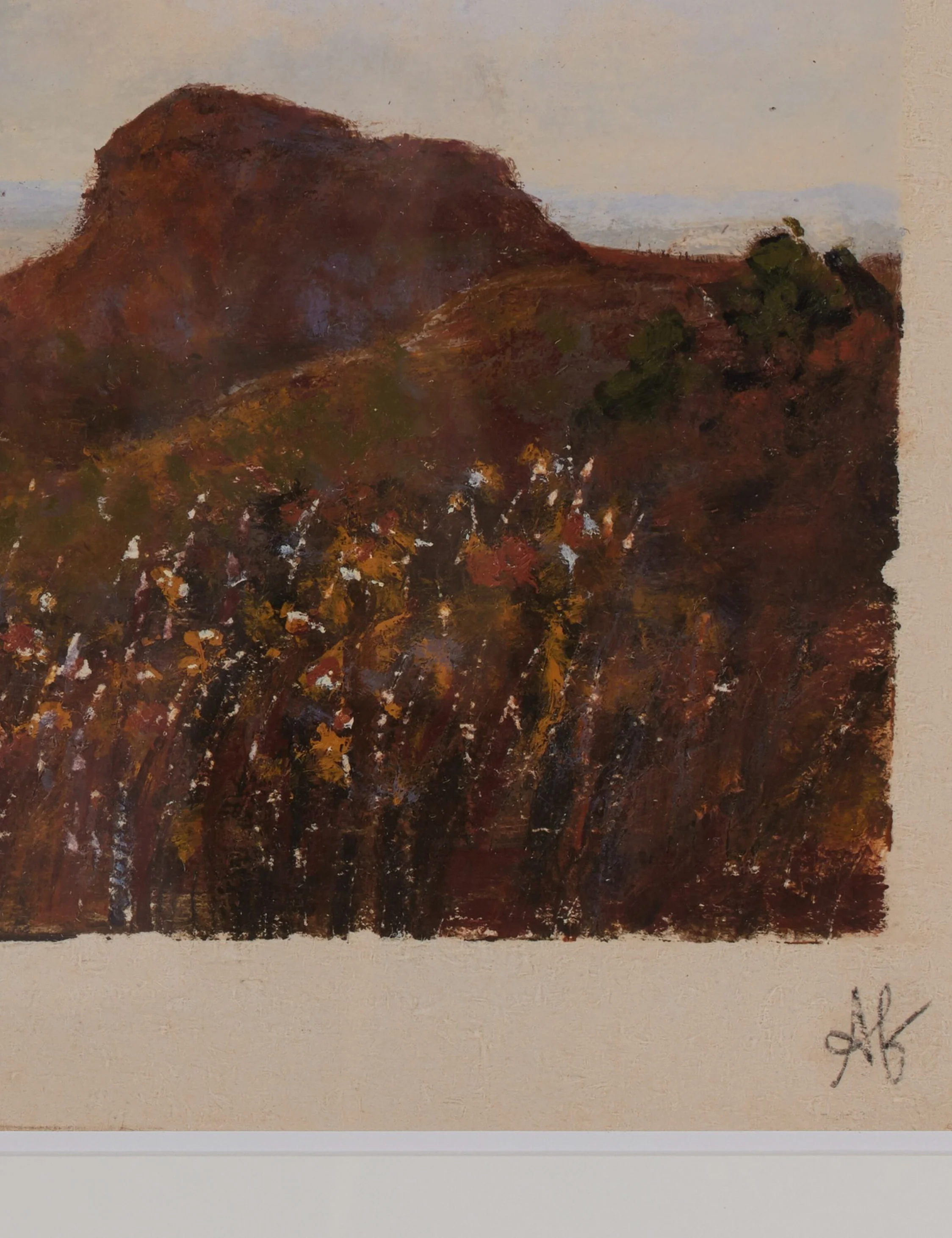 Desert VII by Aileen Fitzgerald - Image 4