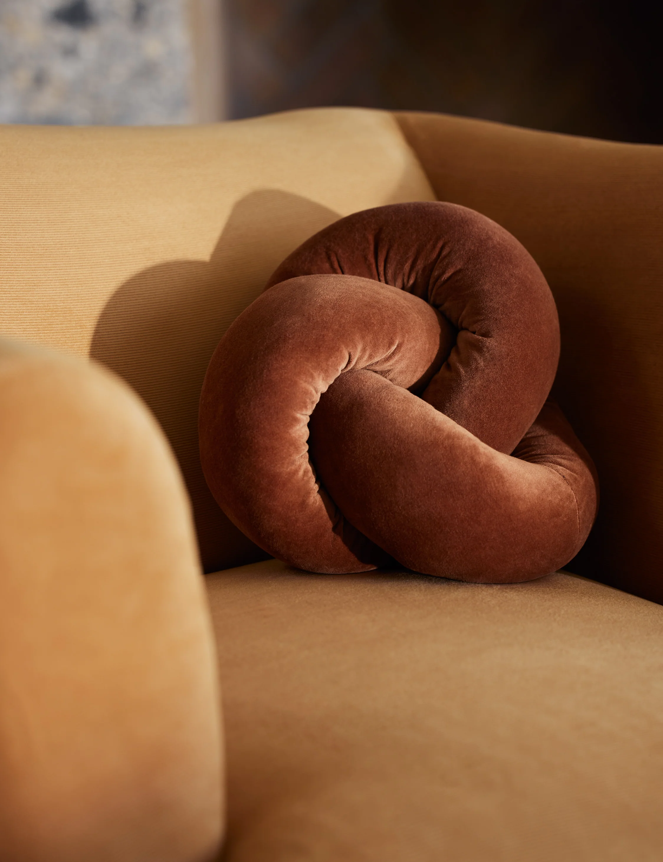 Dewey Velvet Pillow - Image 3