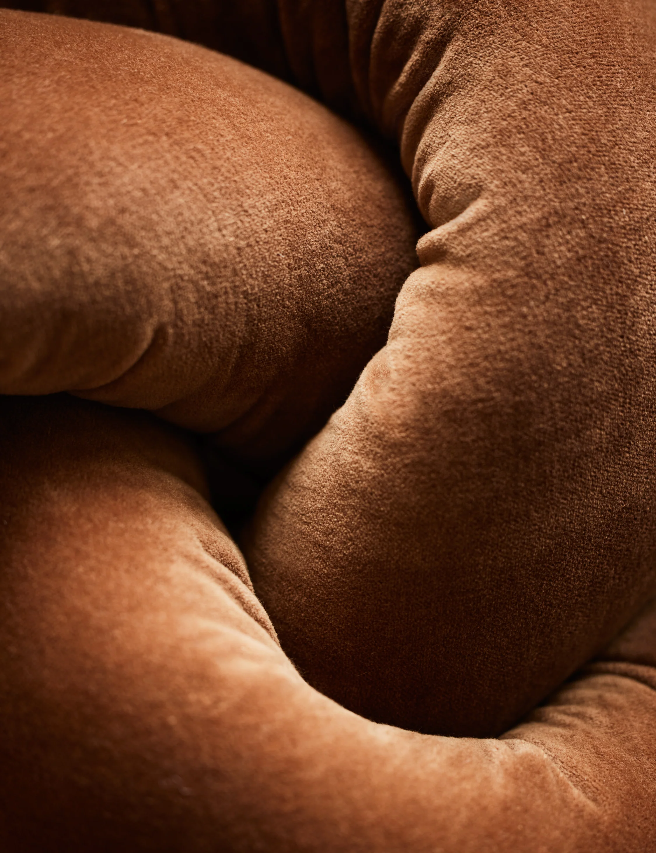 Dewey Velvet Pillow - Image 6