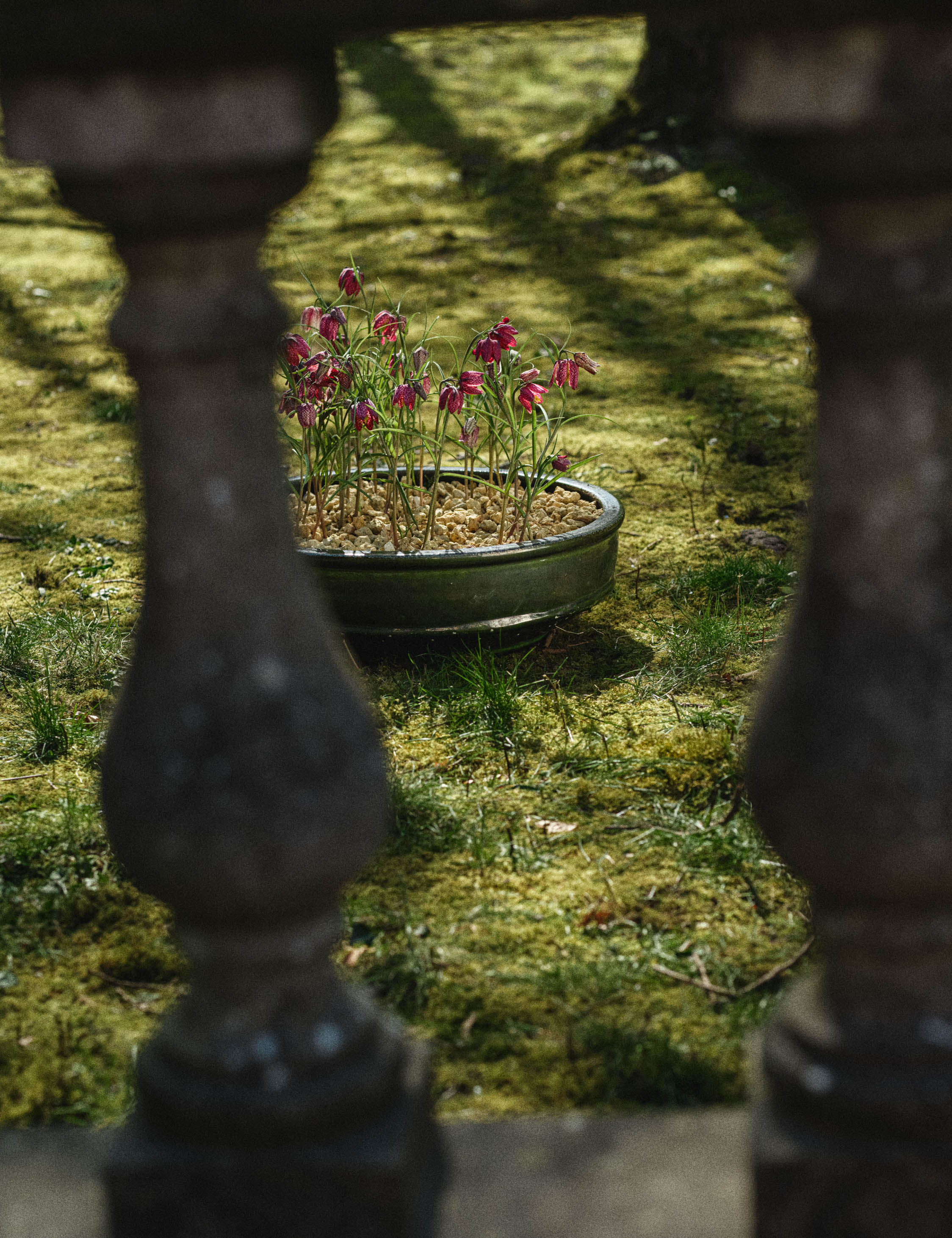 Dune Planter Bowl by Kelly Wearstler x Serax - Image 3