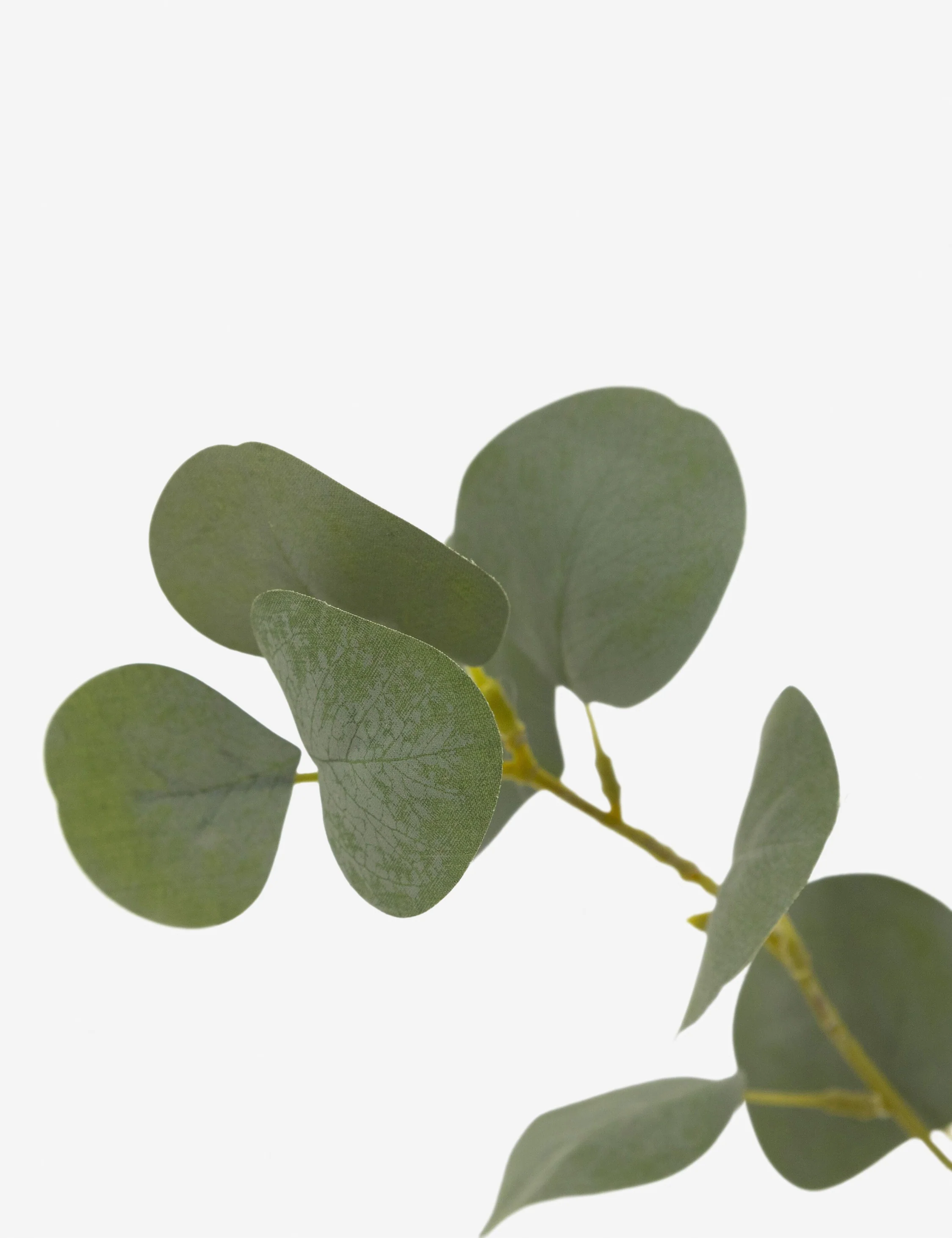Faux Eucalyptus Tree - Image 3