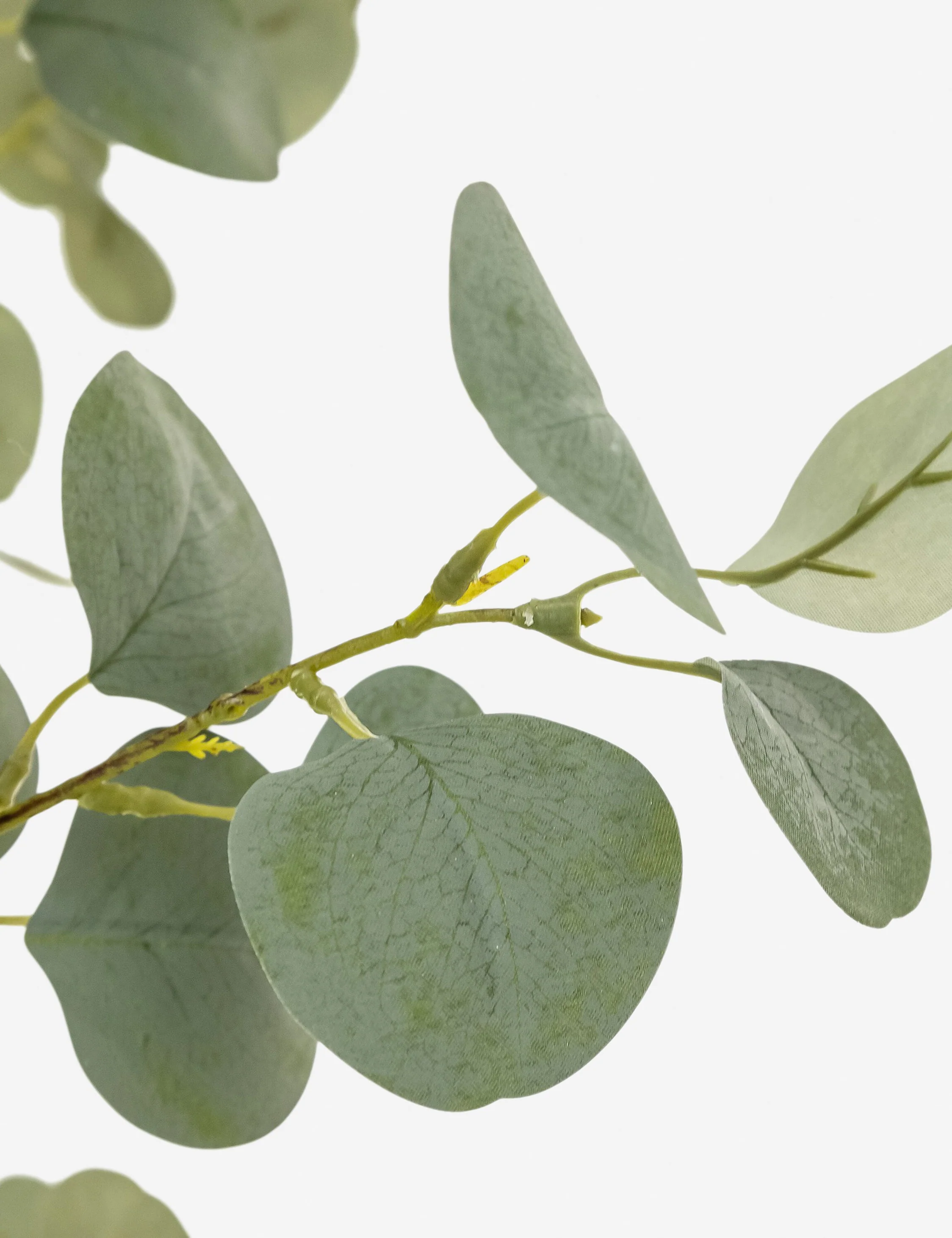Faux Eucalyptus Tree - Image 8