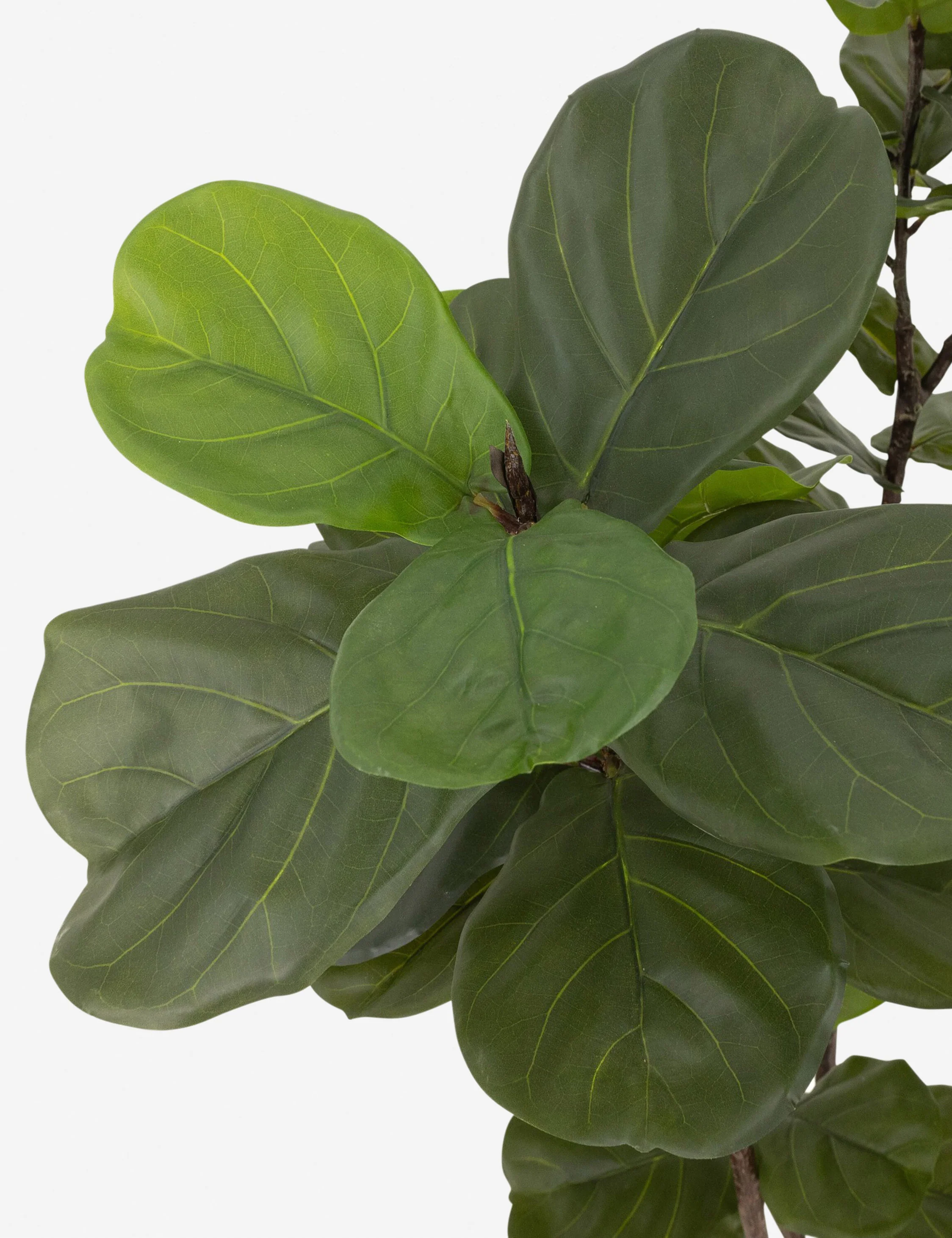 Faux Fiddle Leaf Tree - Image 4