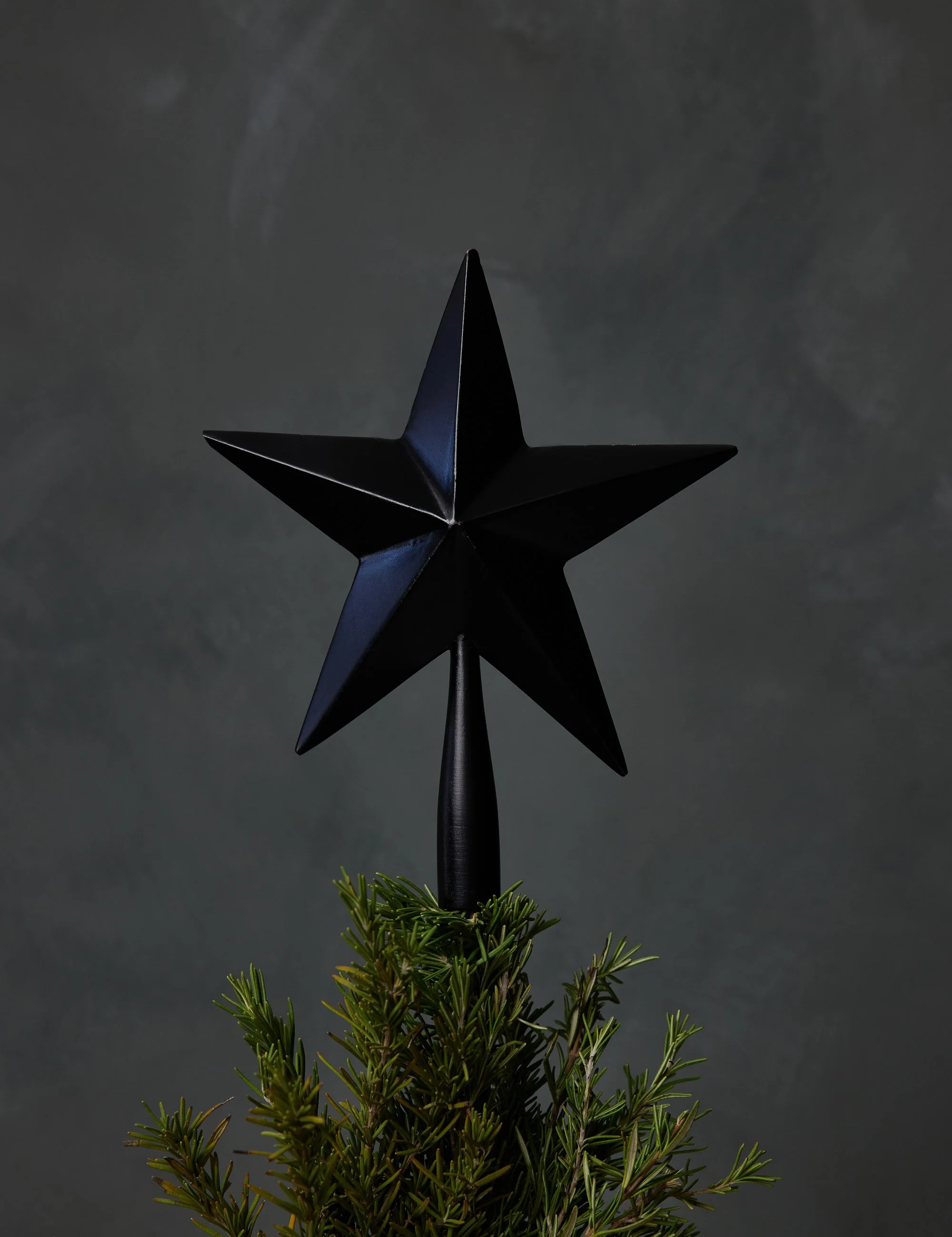 Hand-Painted Wood Tree Topper - Image 6