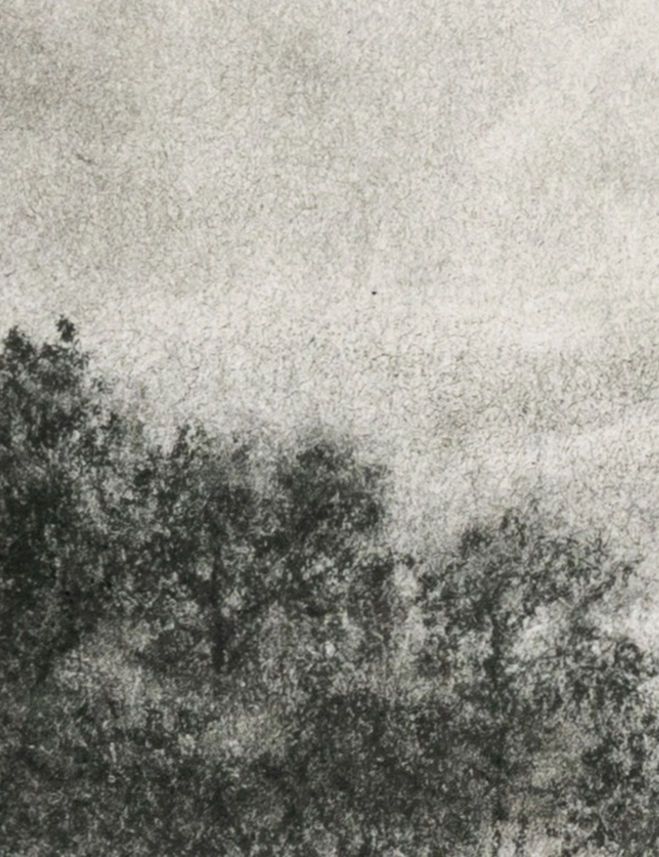 Hill Country Study I Wall Art by Aileen Fitzgerald - Image 11