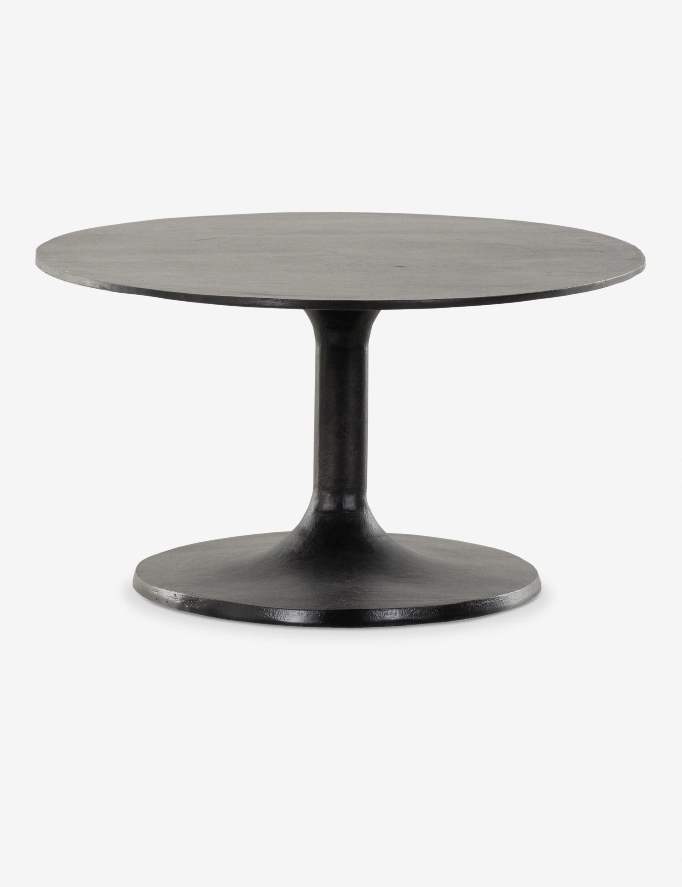 Inga Indoor / Outdoor Oval Coffee Table - Image 13
