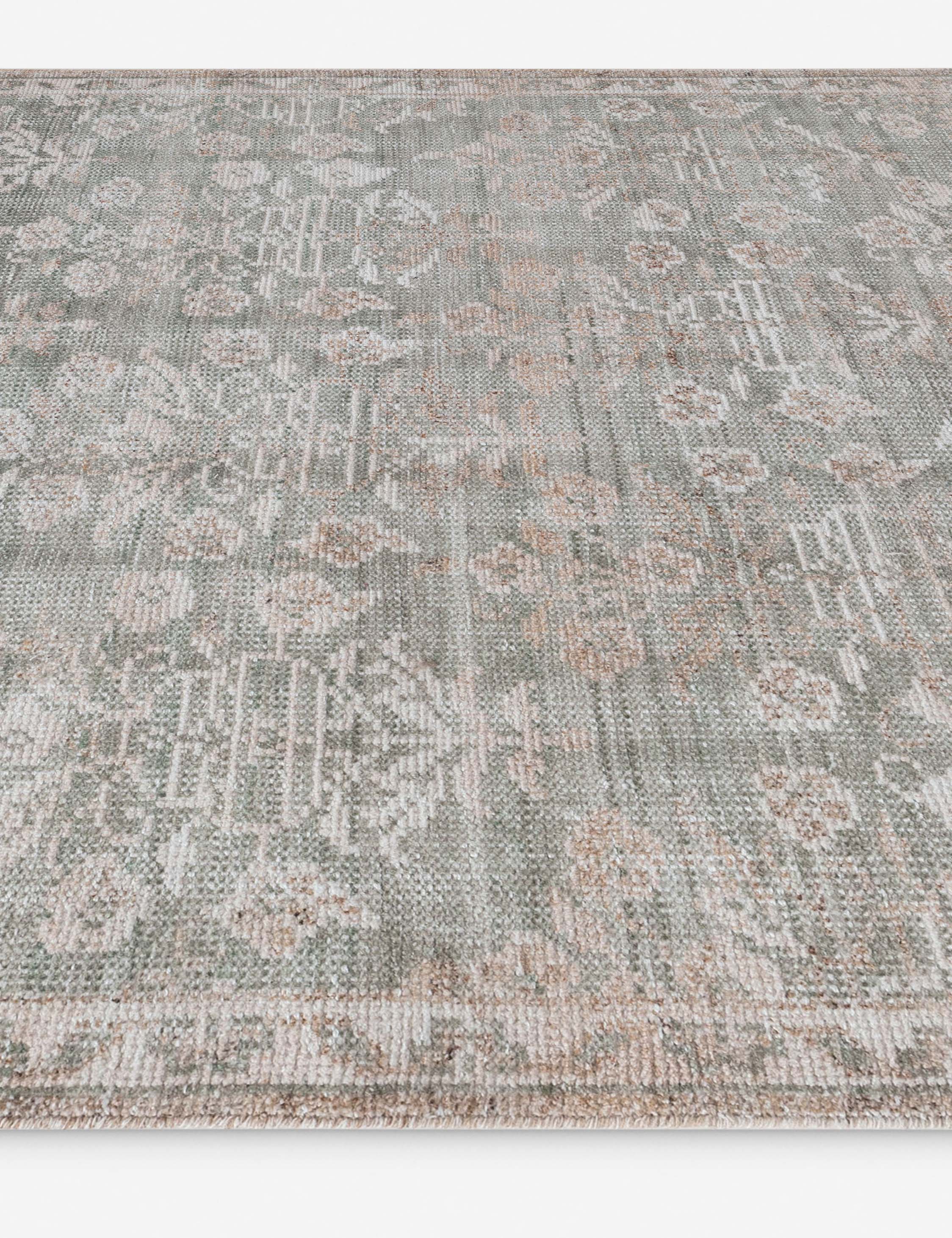 Leslie Hand-Knotted Indoor / Outdoor Rug - Image 4