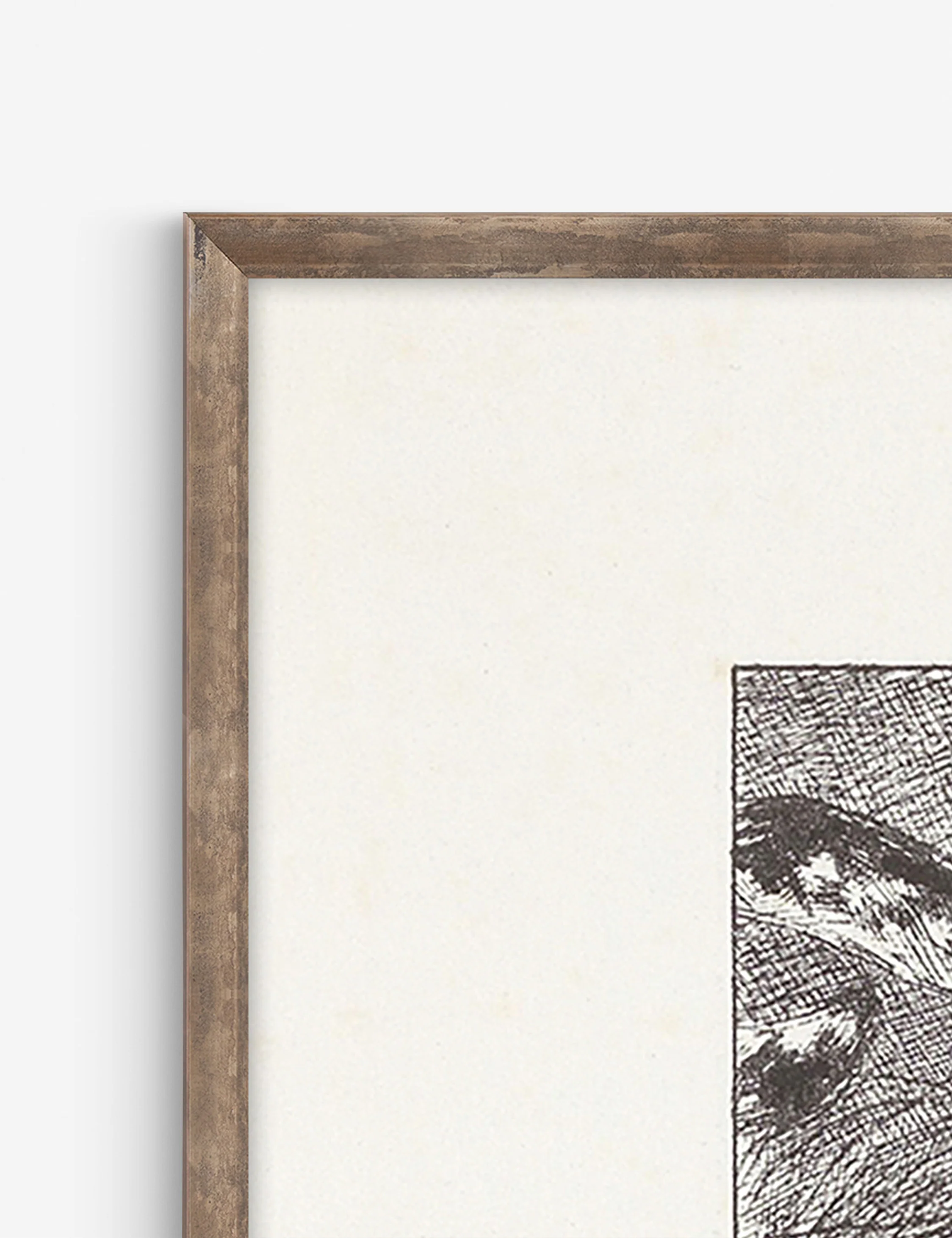 Luipaard Wall Art by Alex Zane - Image 2