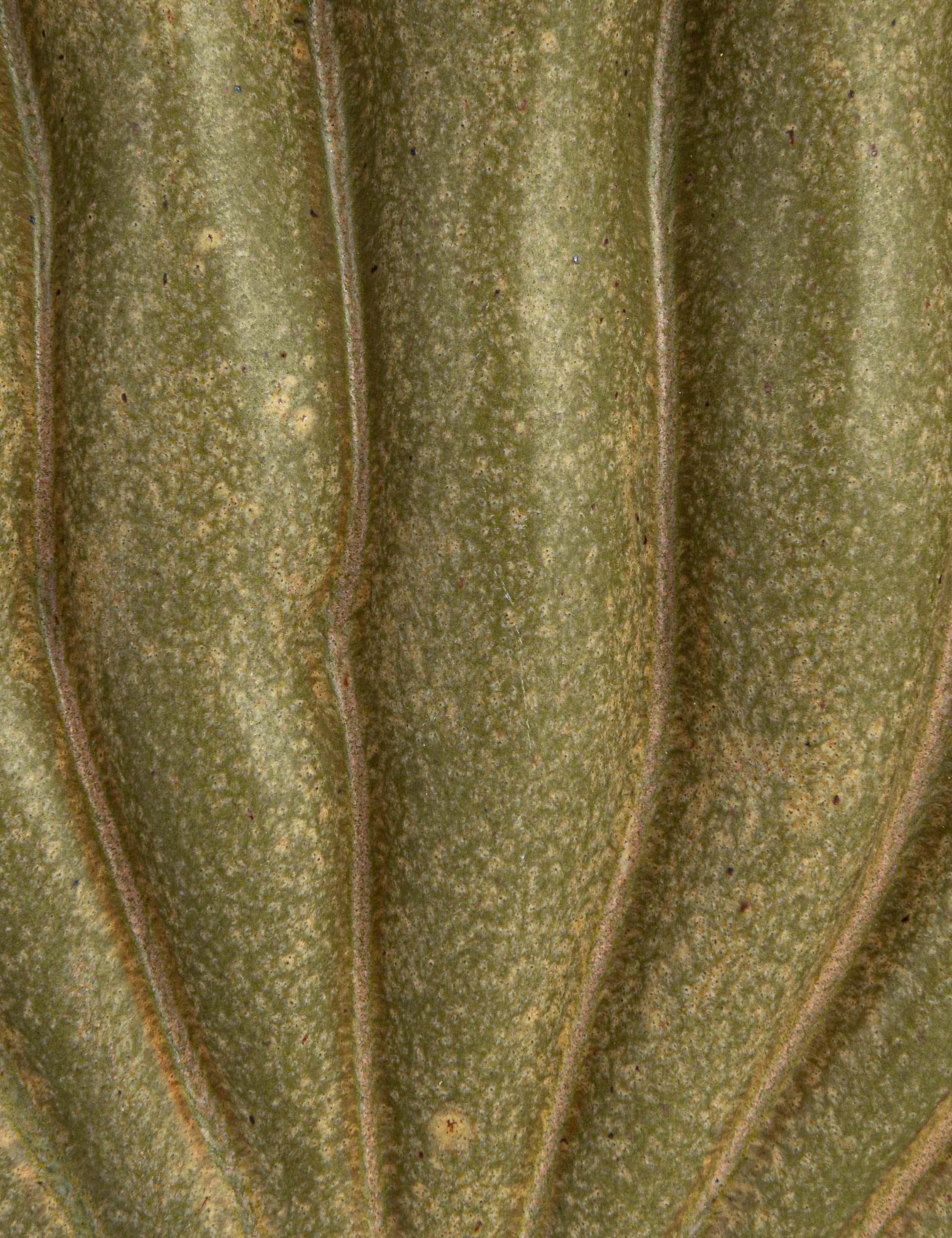Maelis Vase - Image 9
