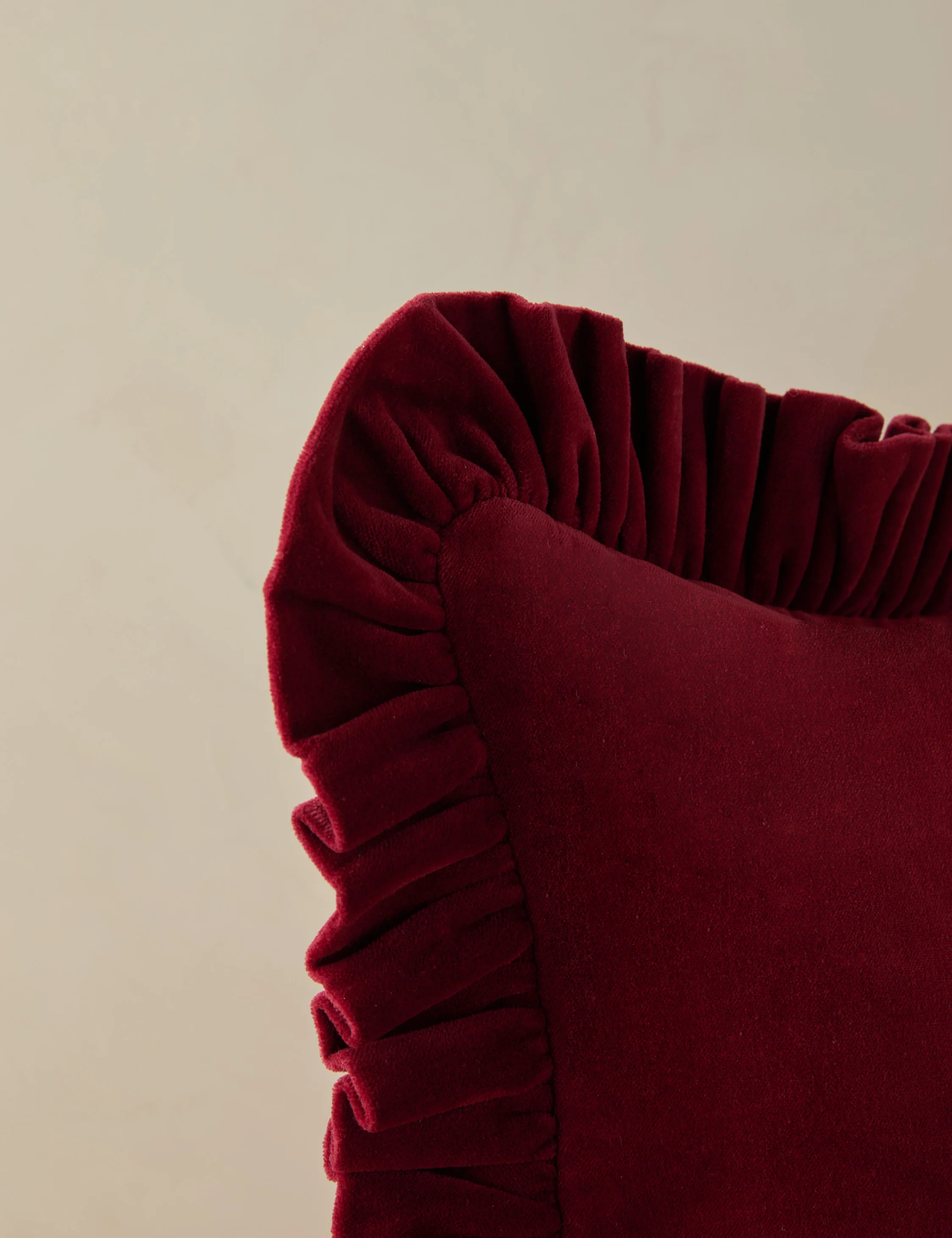 Mauree Velvet Pillow - Image 7