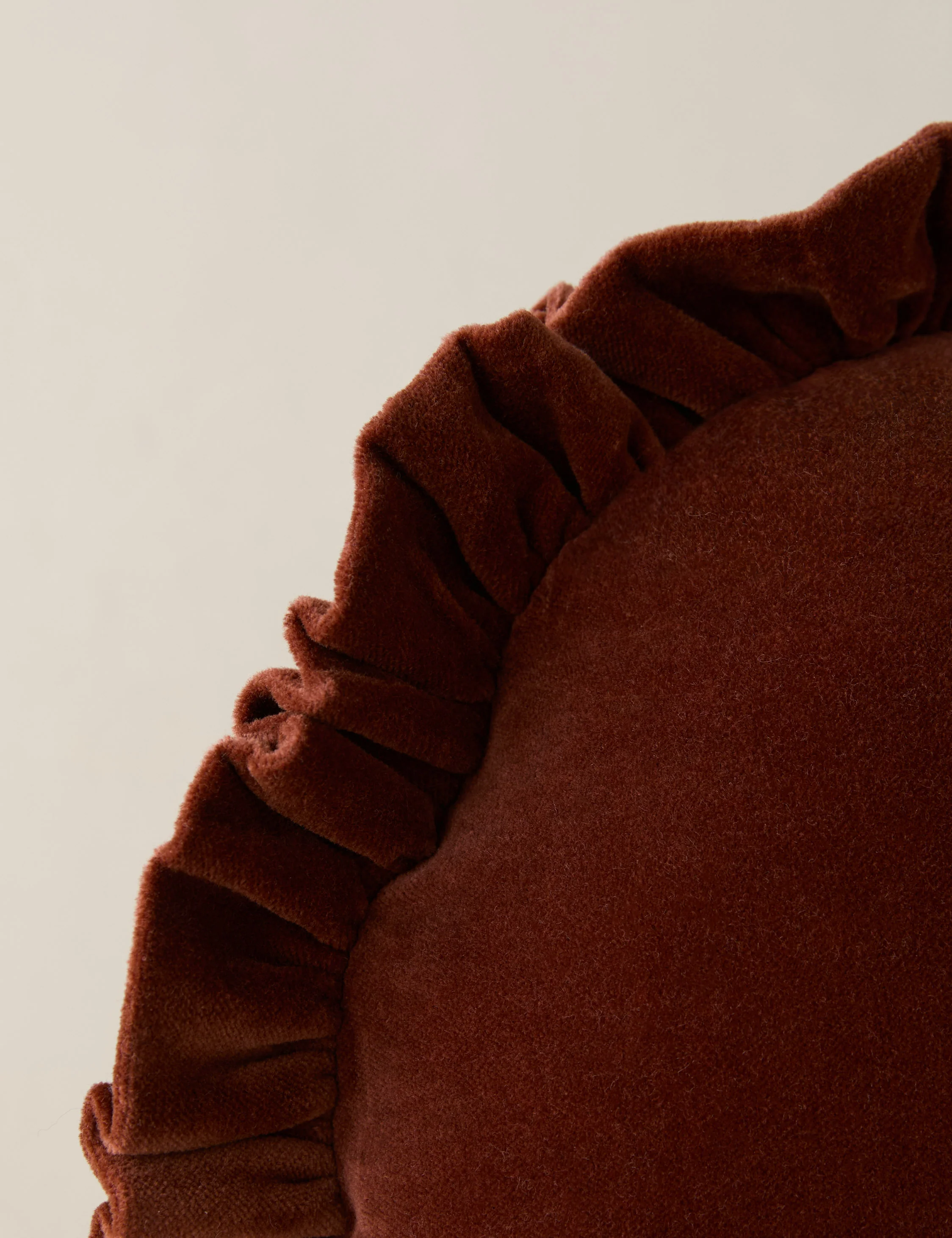Mauree Velvet Round Pillow - Image 4