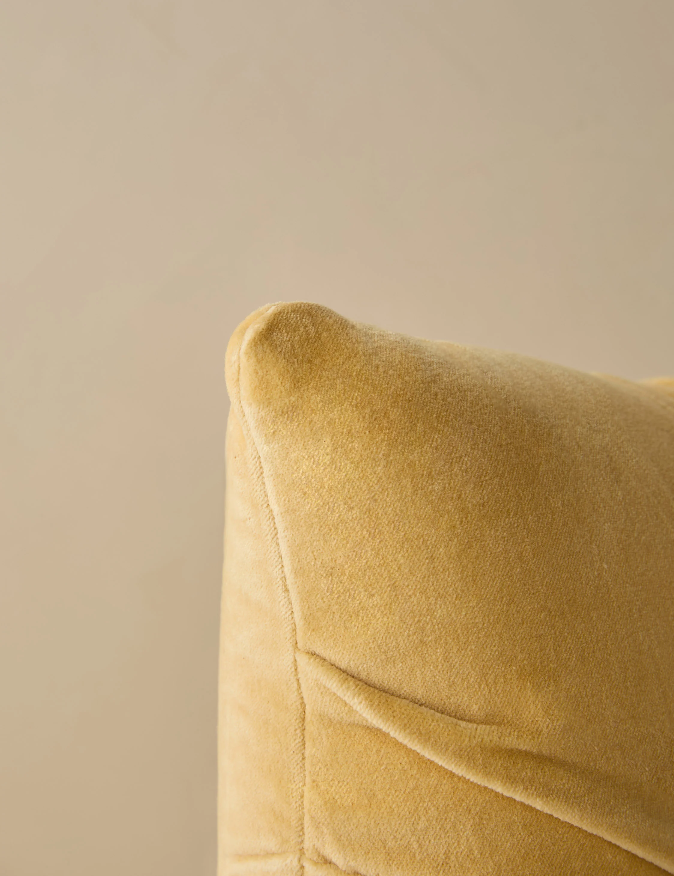 Monroe Velvet Lumbar Pillow - Image 4