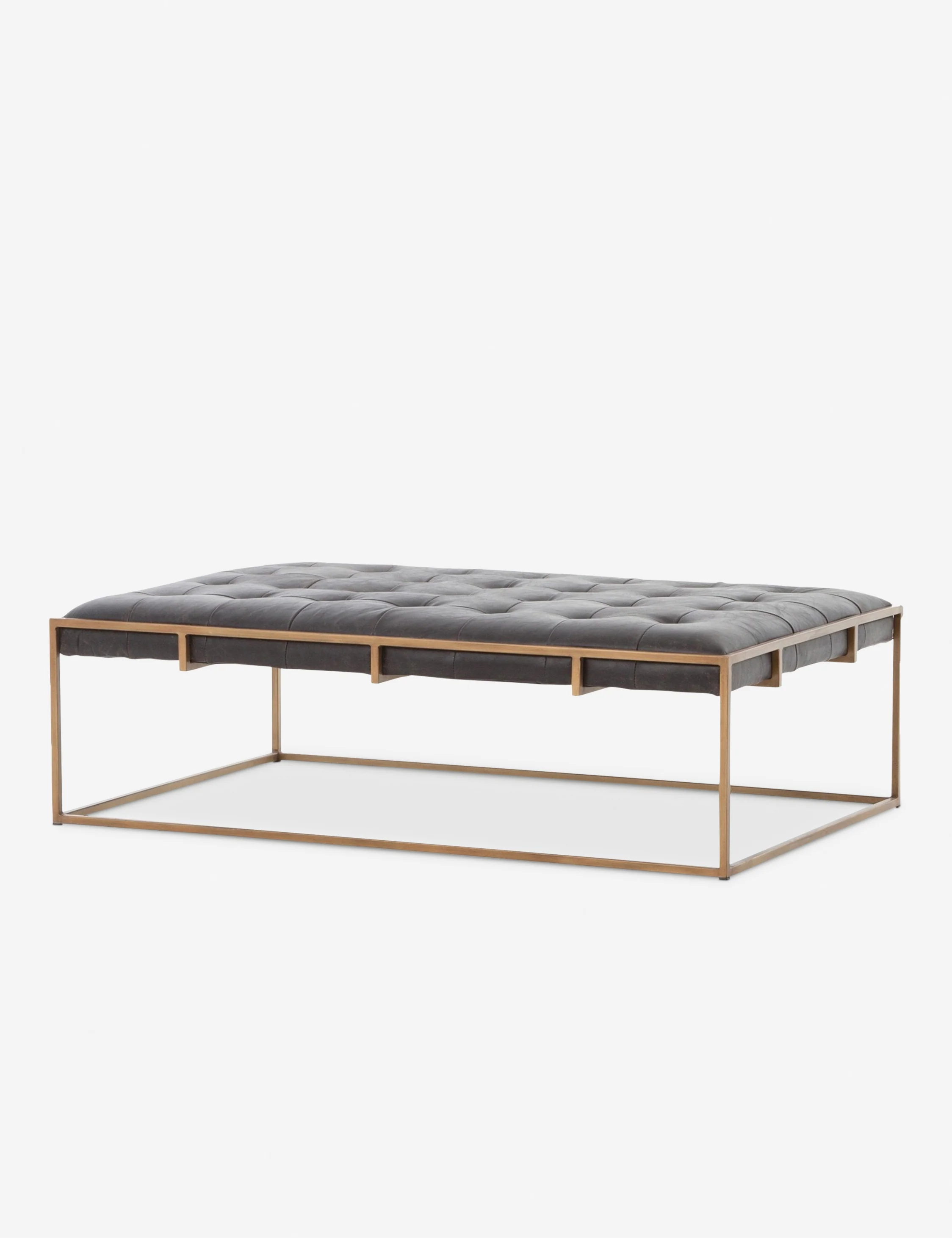 Olwina Leather Coffee Table - Image 3