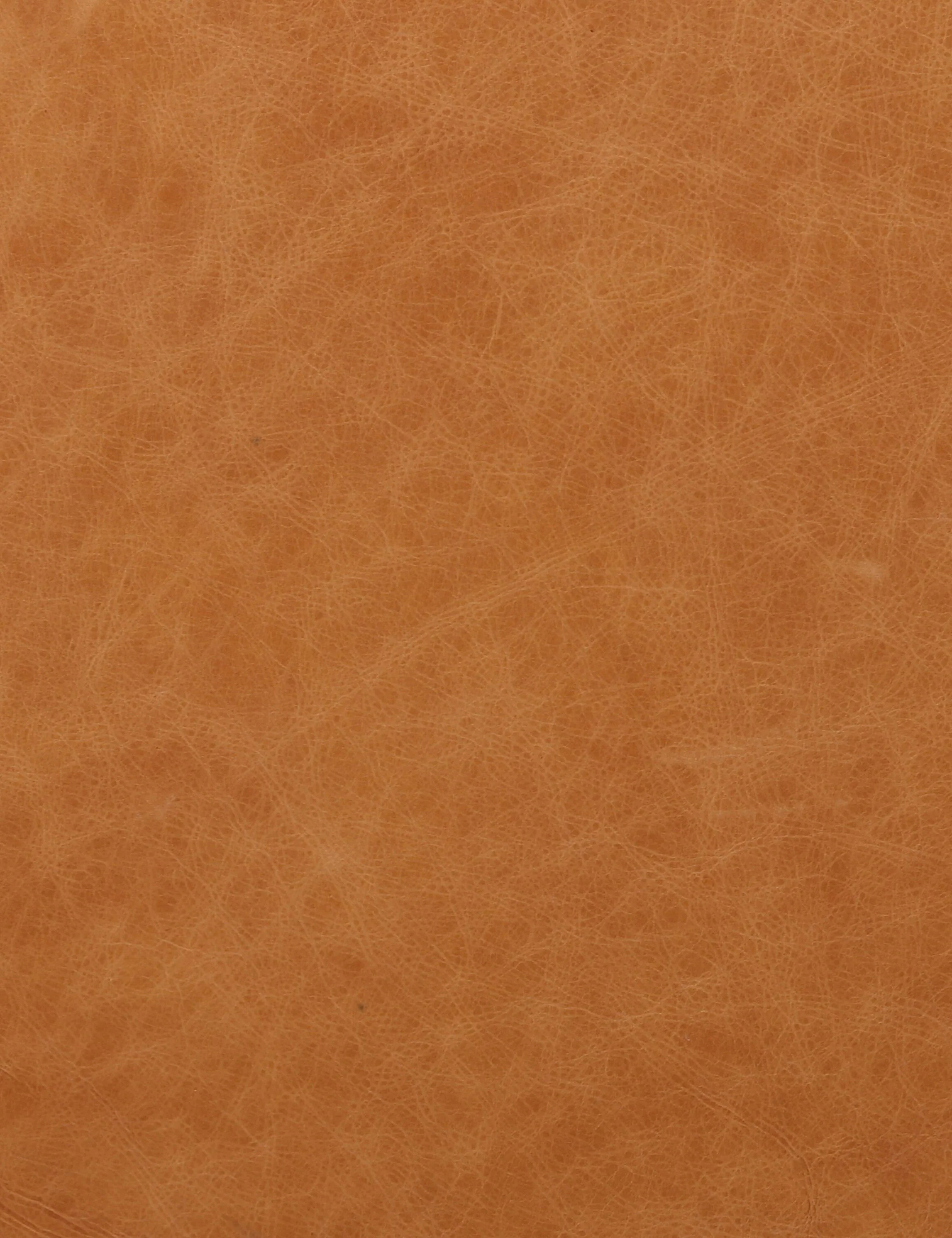 Orielle Leather Sofa - Image 9
