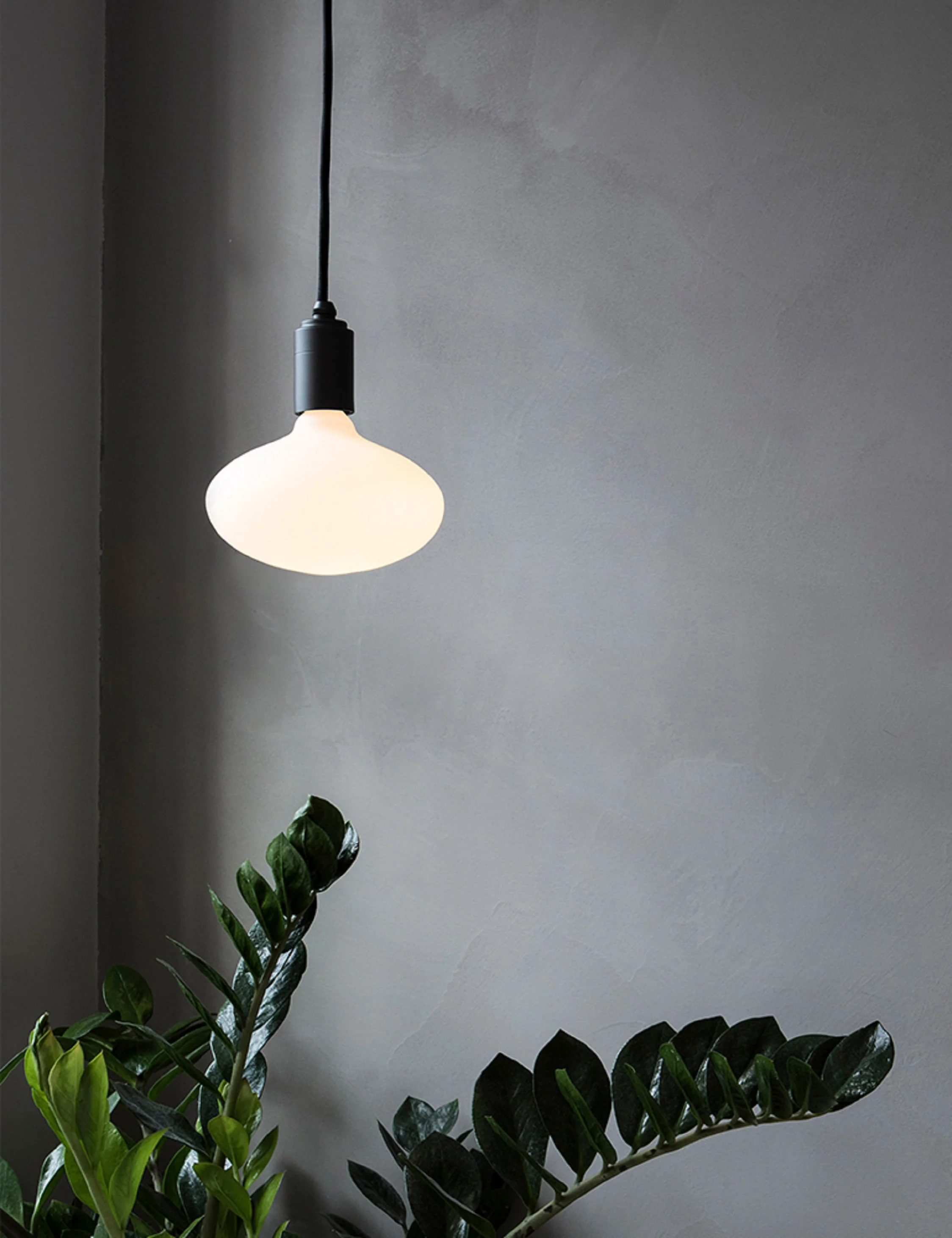 Oval 6W LED Bulb by Tala