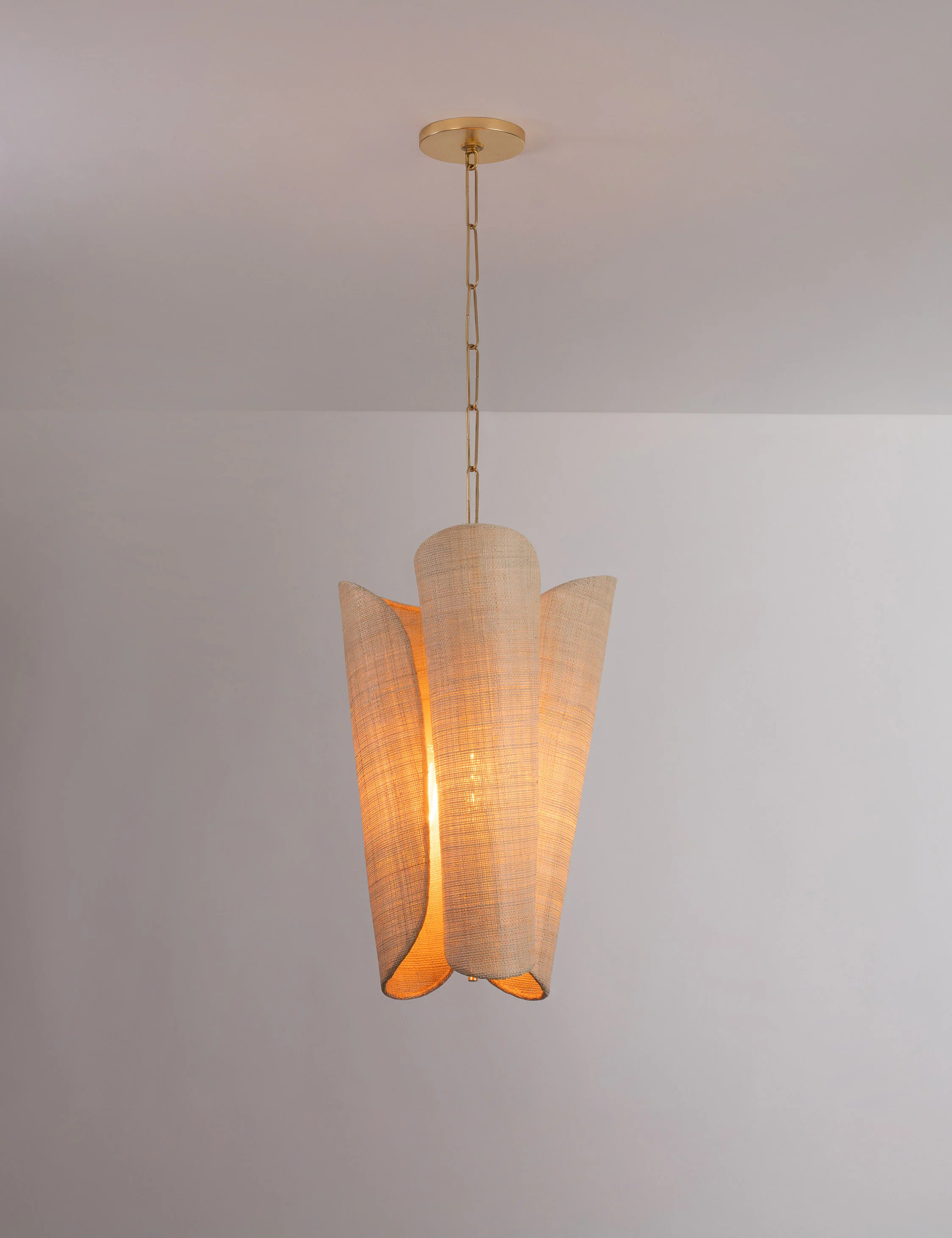 Phoenix Pendant Light - Image 2