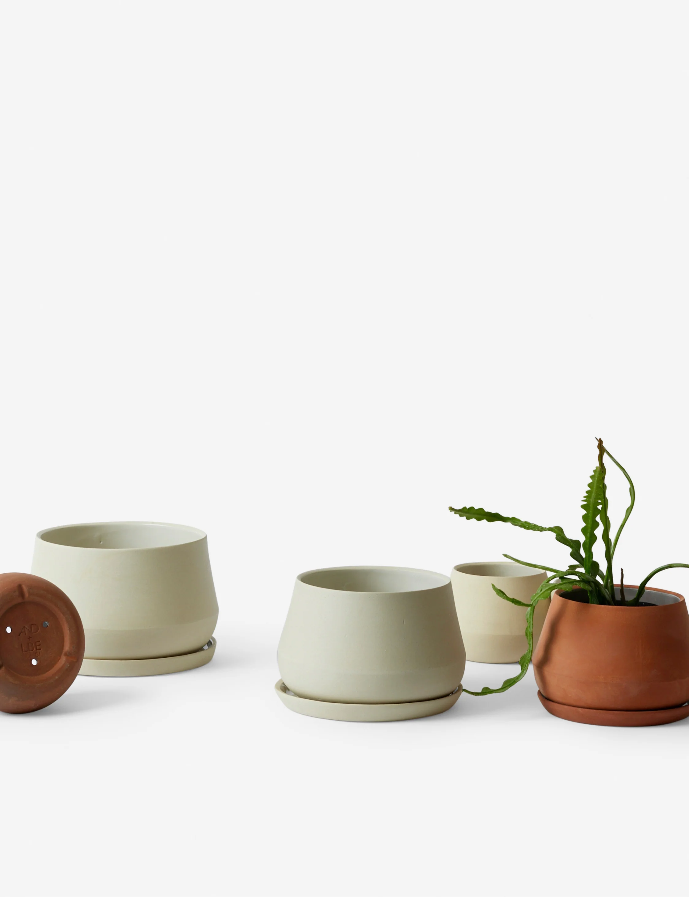 Rancho Ceramic Indoor / Outdoor Planter by LBE Design - Image 15