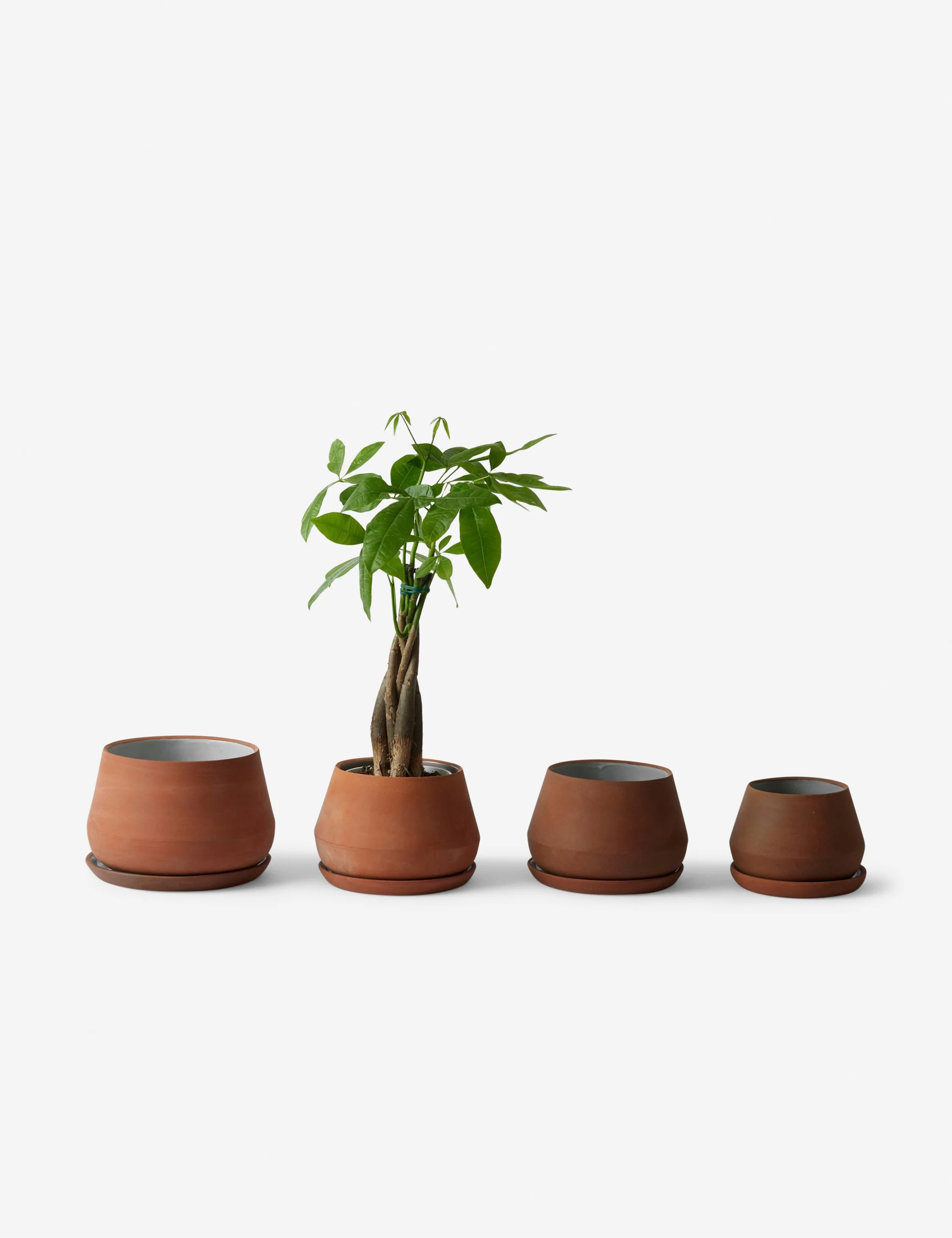 Rancho Ceramic Indoor / Outdoor Planter by LBE Design - Image 8