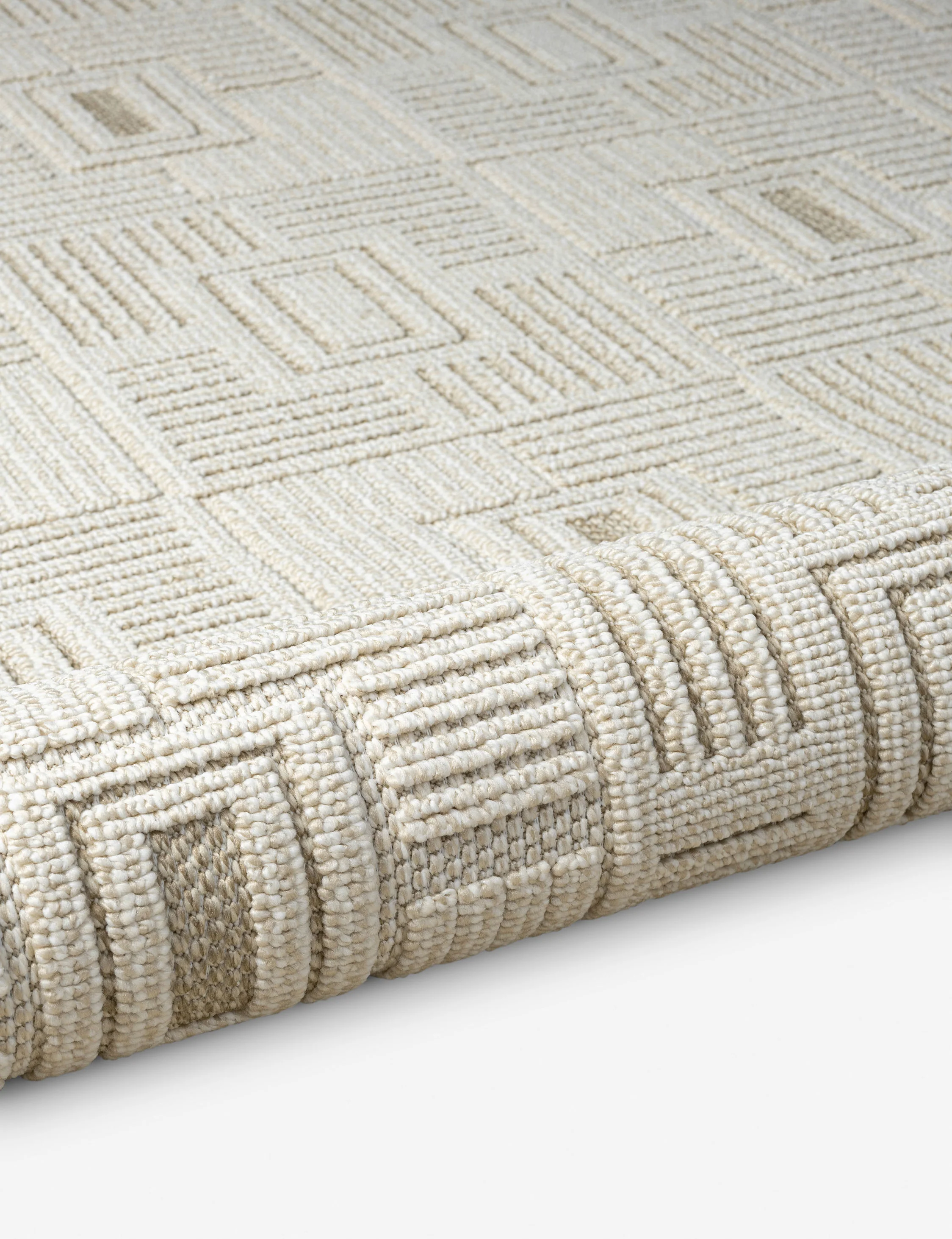 Regan Indoor / Outdoor Rug - Image 4