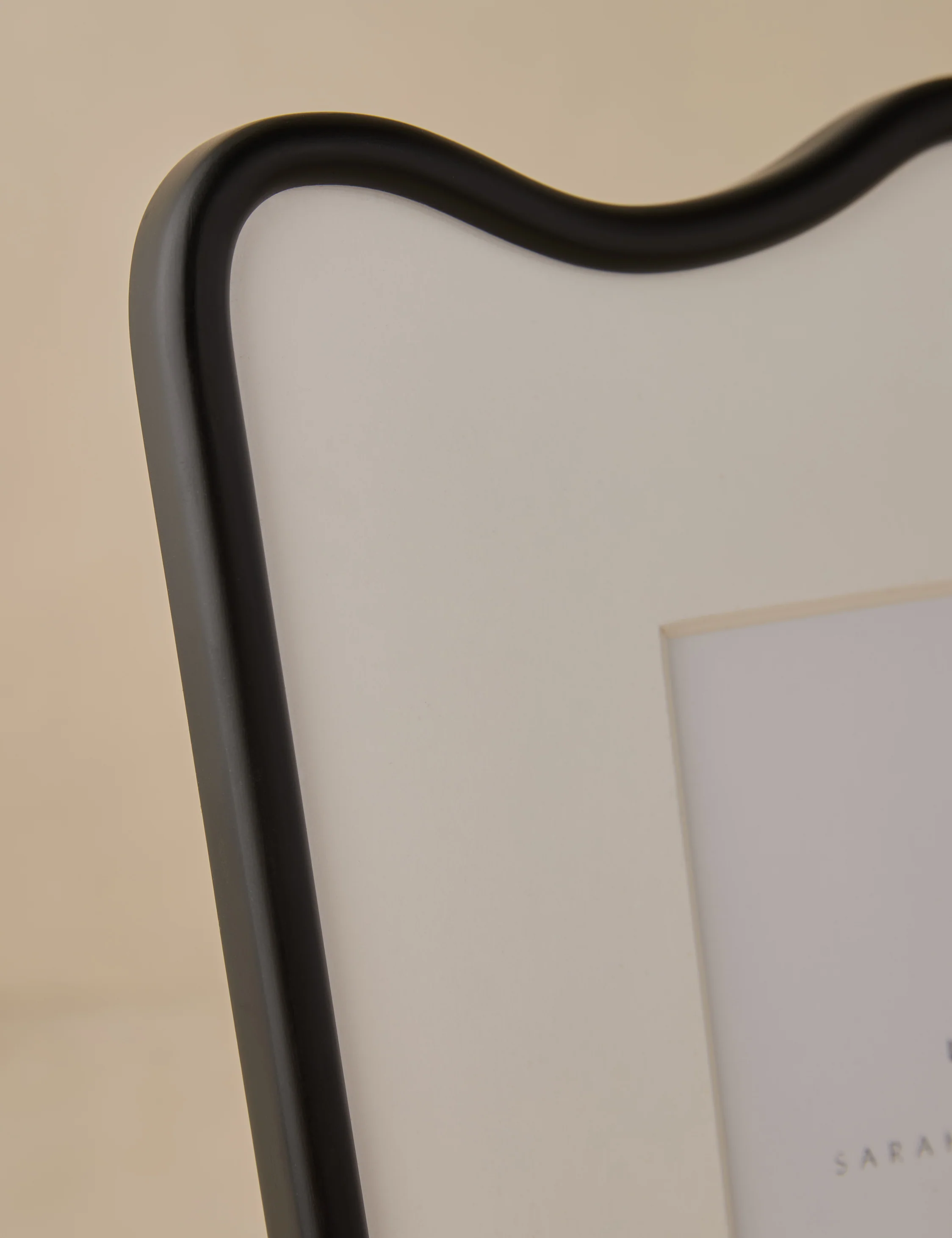 Rook Picture Frame by Sarah Sherman Samuel - Image 12