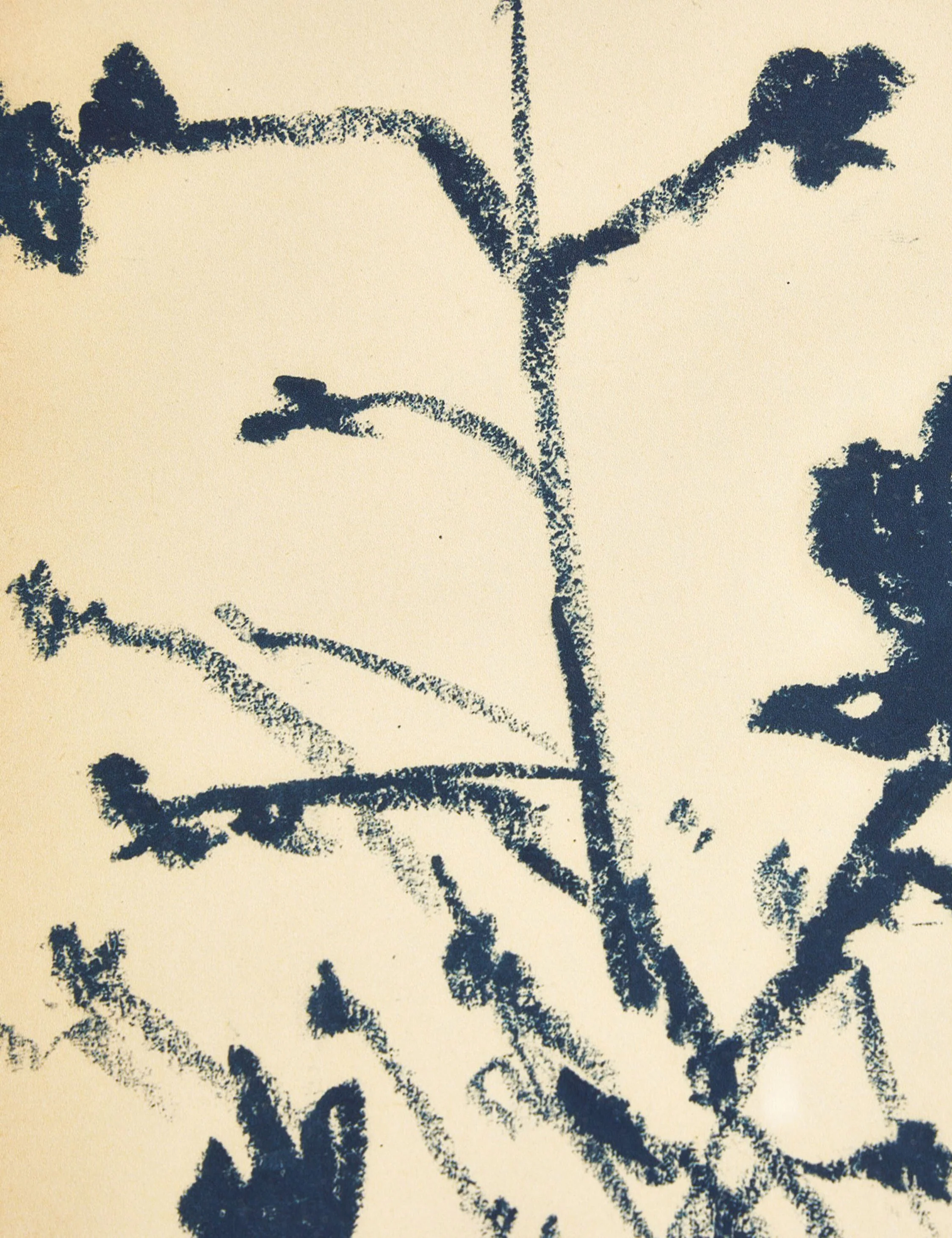 Summer Weed Wall Art by Shaina Page - Image 4
